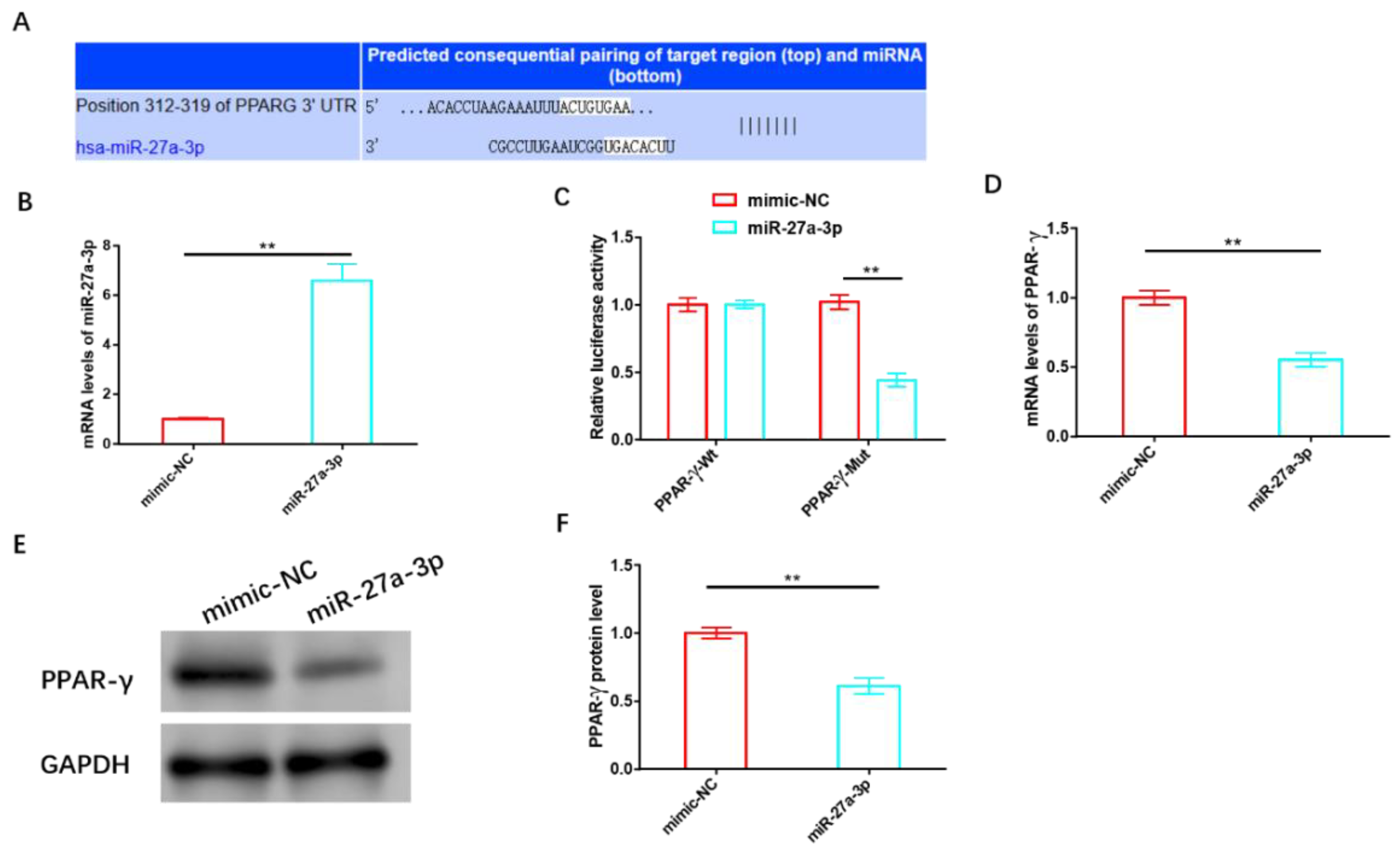 Cancers 15 05213 g005