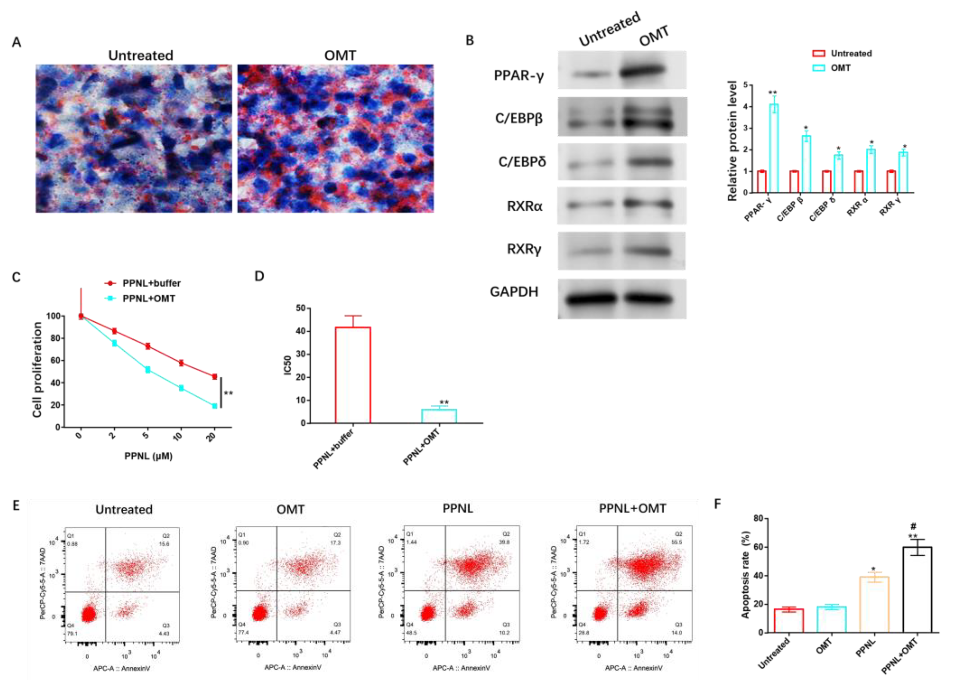 Cancers 15 05213 g009