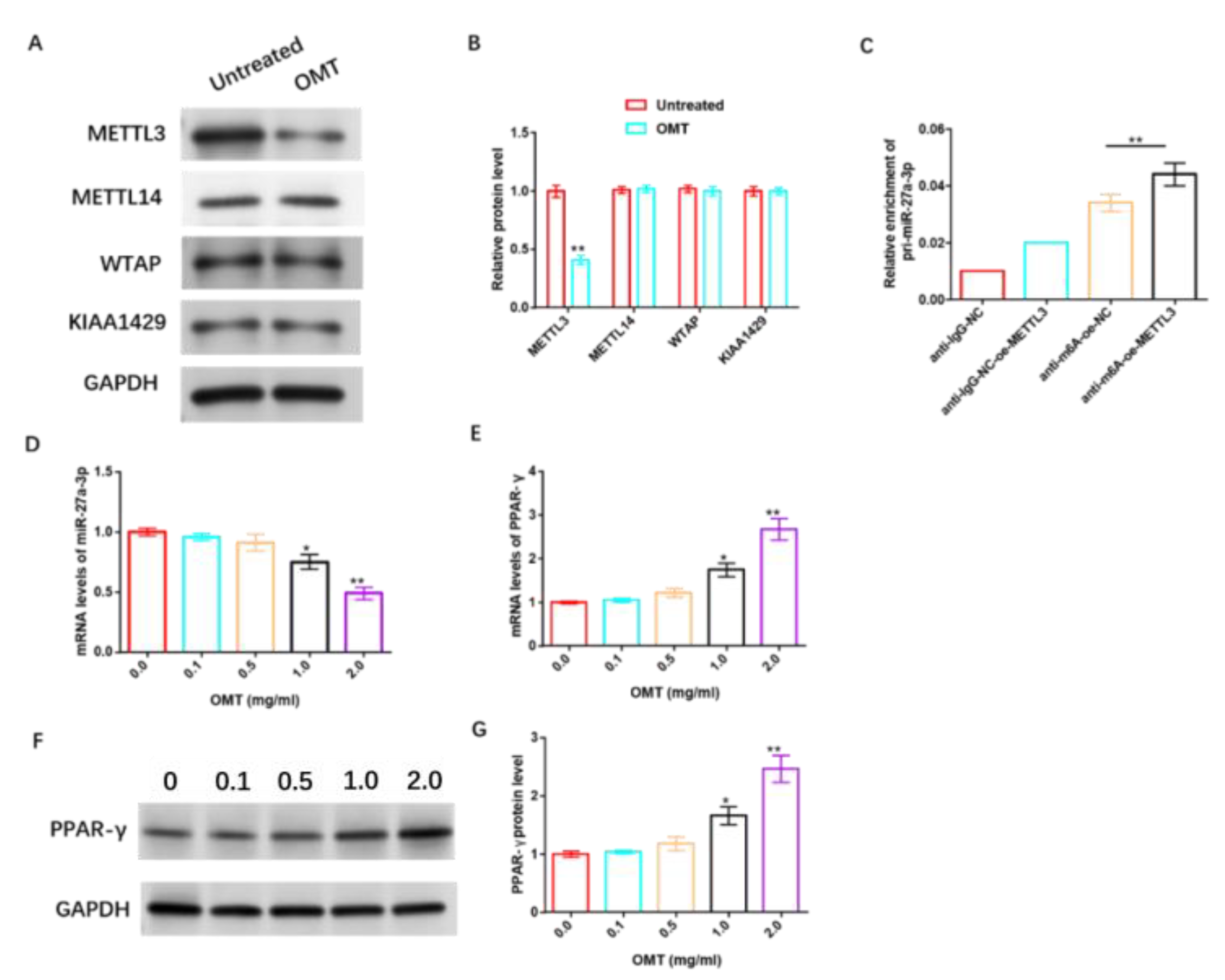 Cancers 15 05213 g010