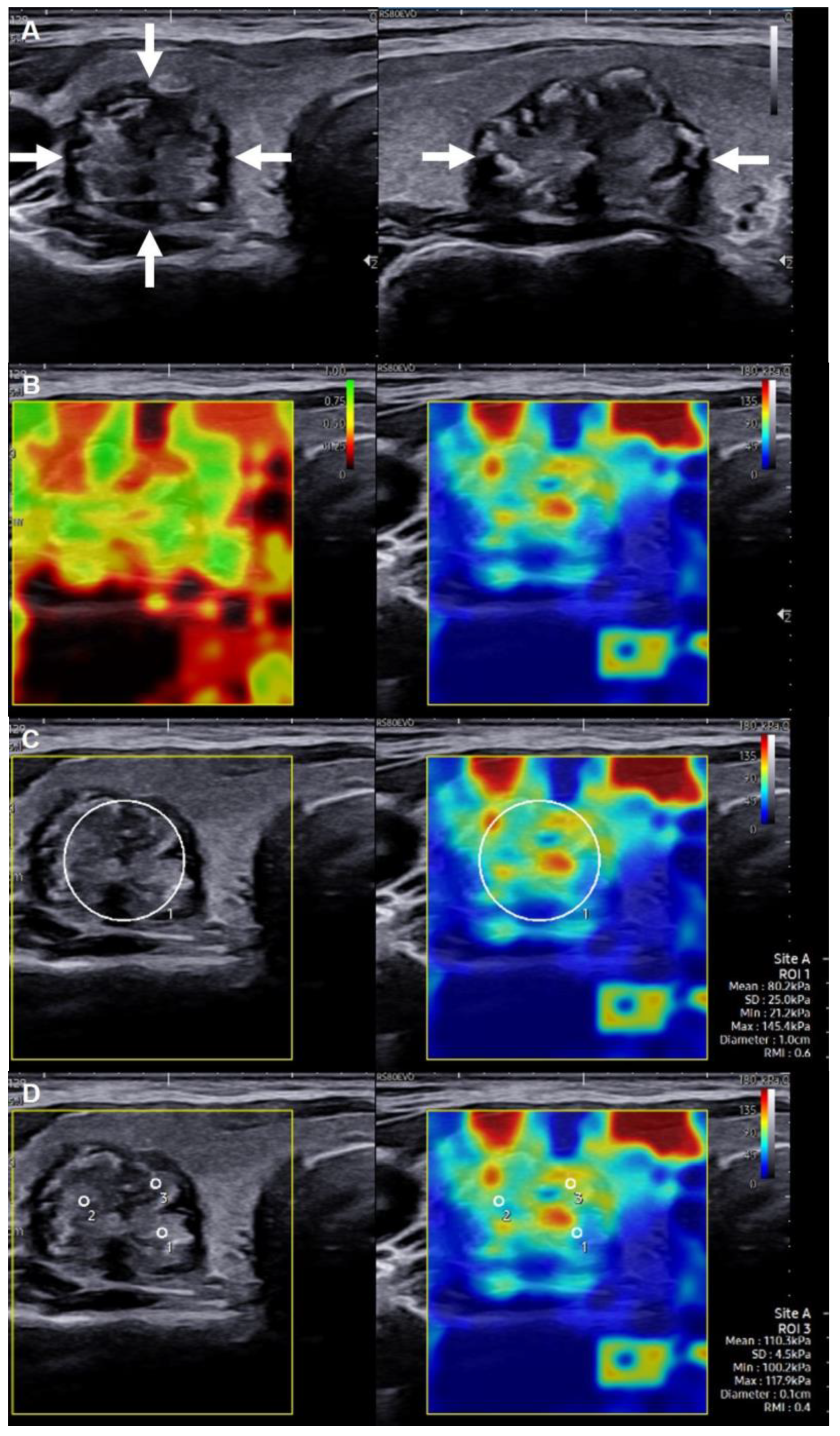 Cancers 15 05214 g001a