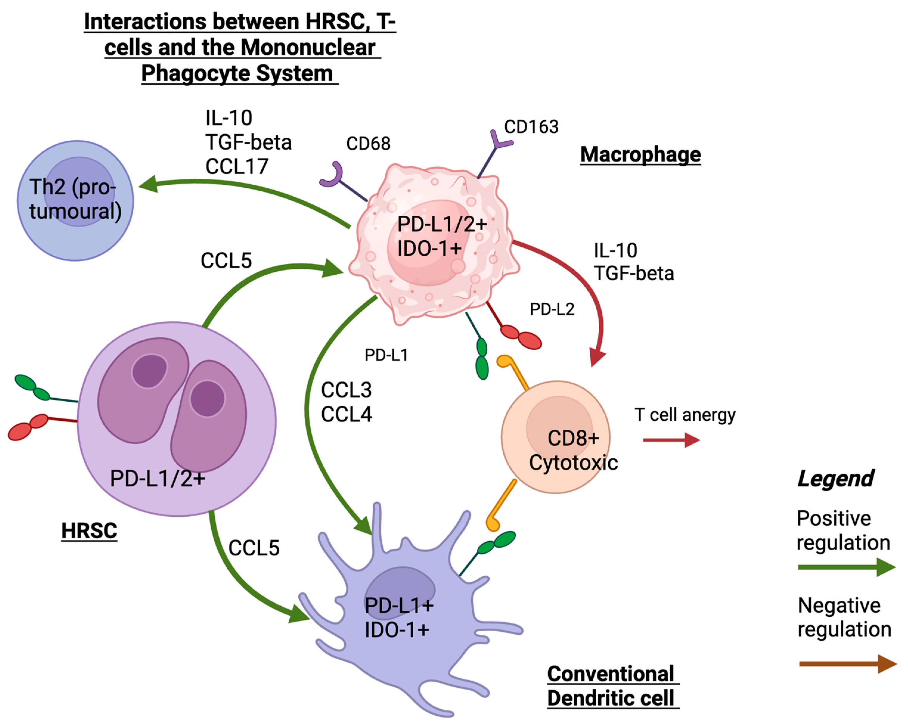 Cancers 15 05217 g001