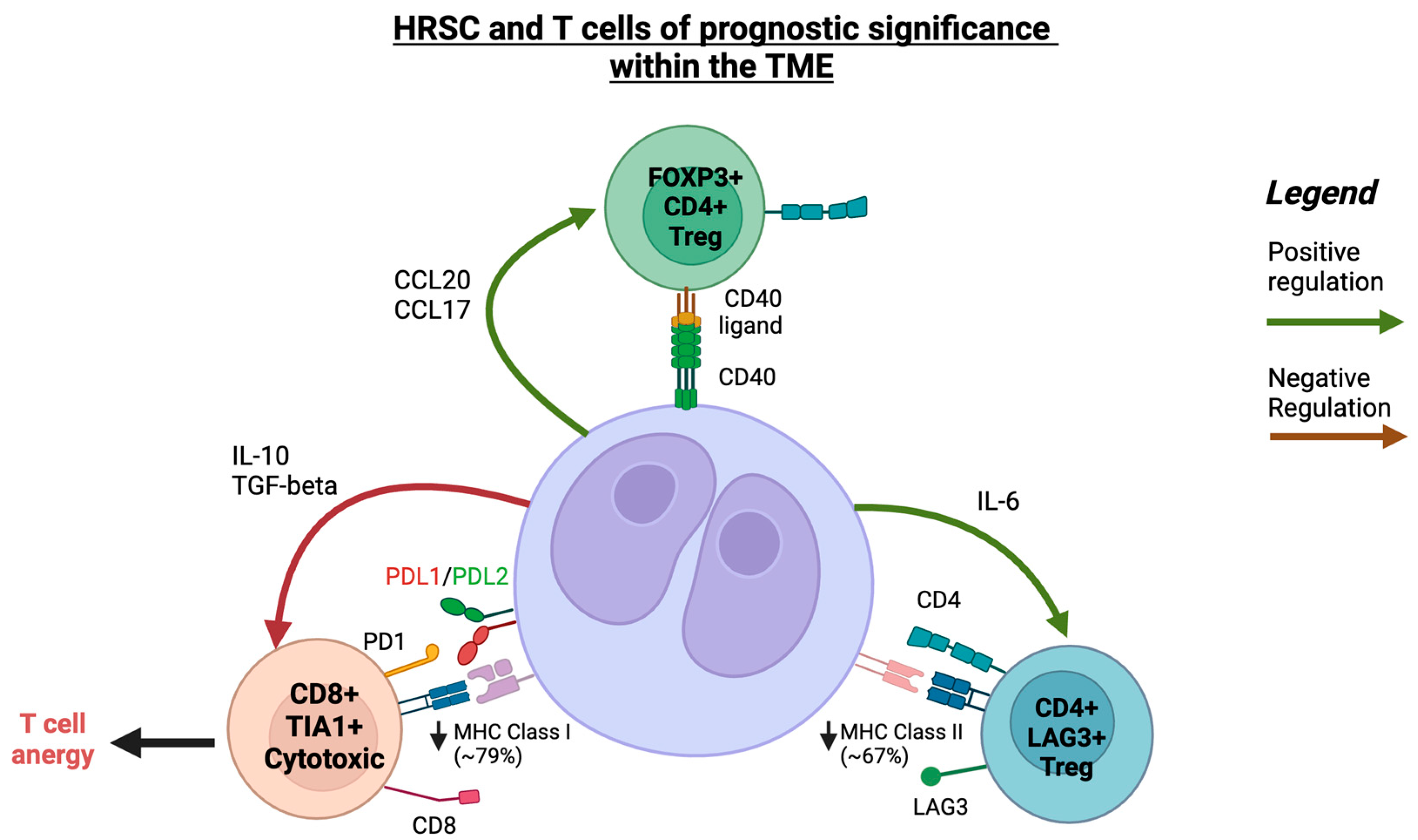 Cancers 15 05217 g002