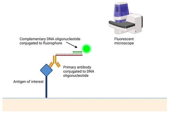 Cancers 15 05217 i002