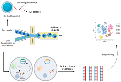 Cancers 15 05217 i003