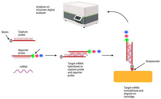 Cancers 15 05217 i004