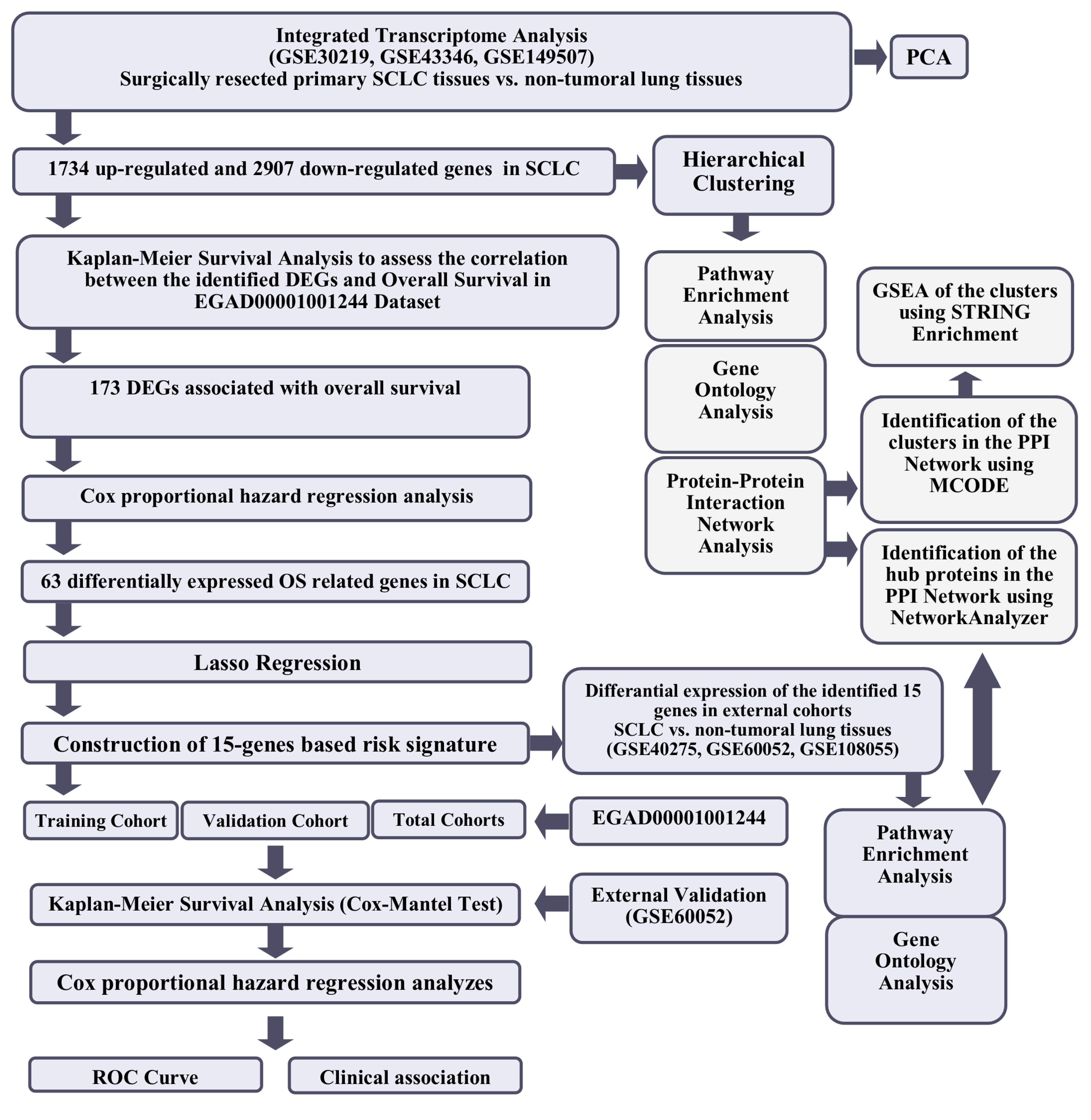 Cancers 15 05219 g001