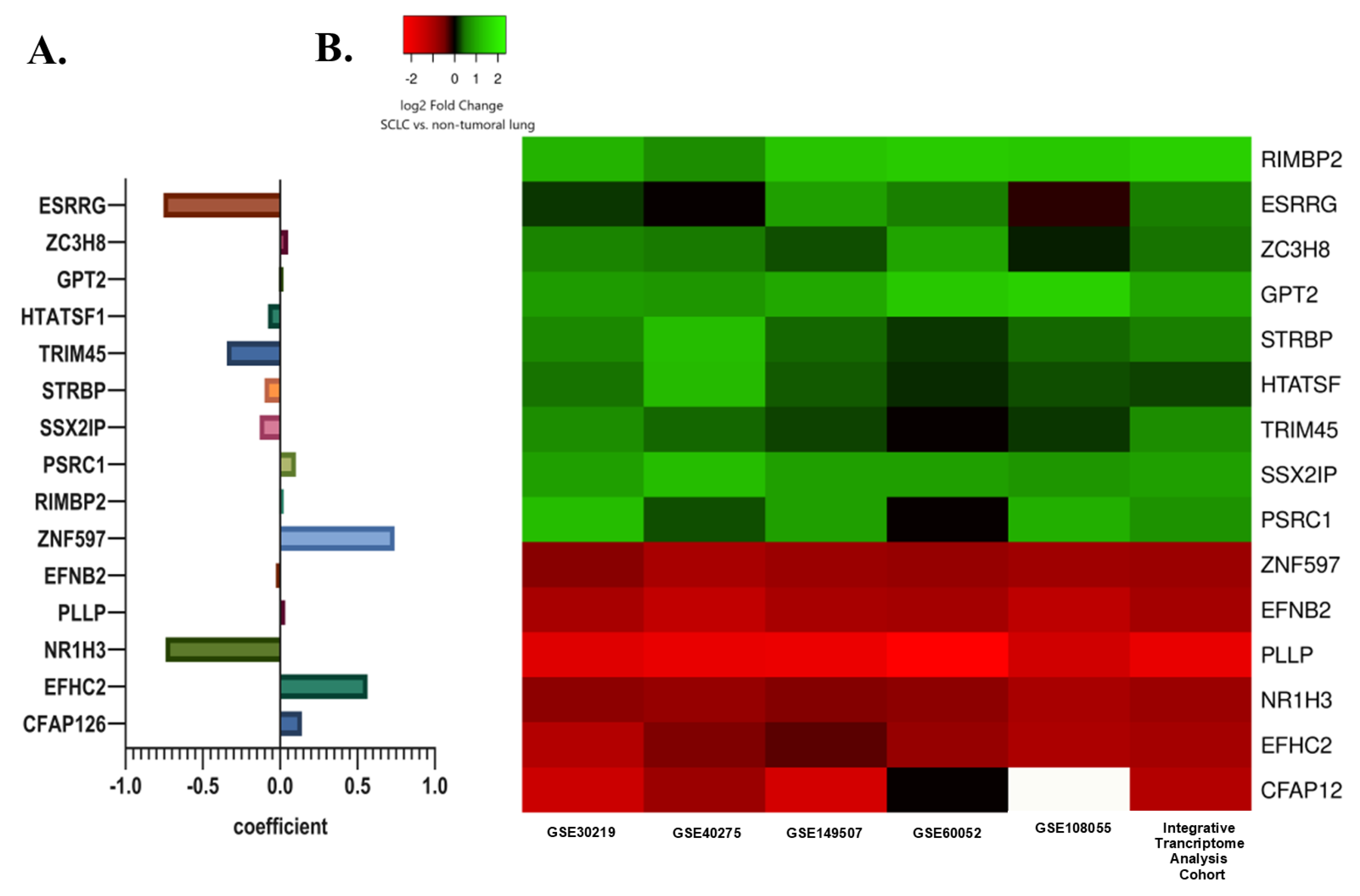 Cancers 15 05219 g004