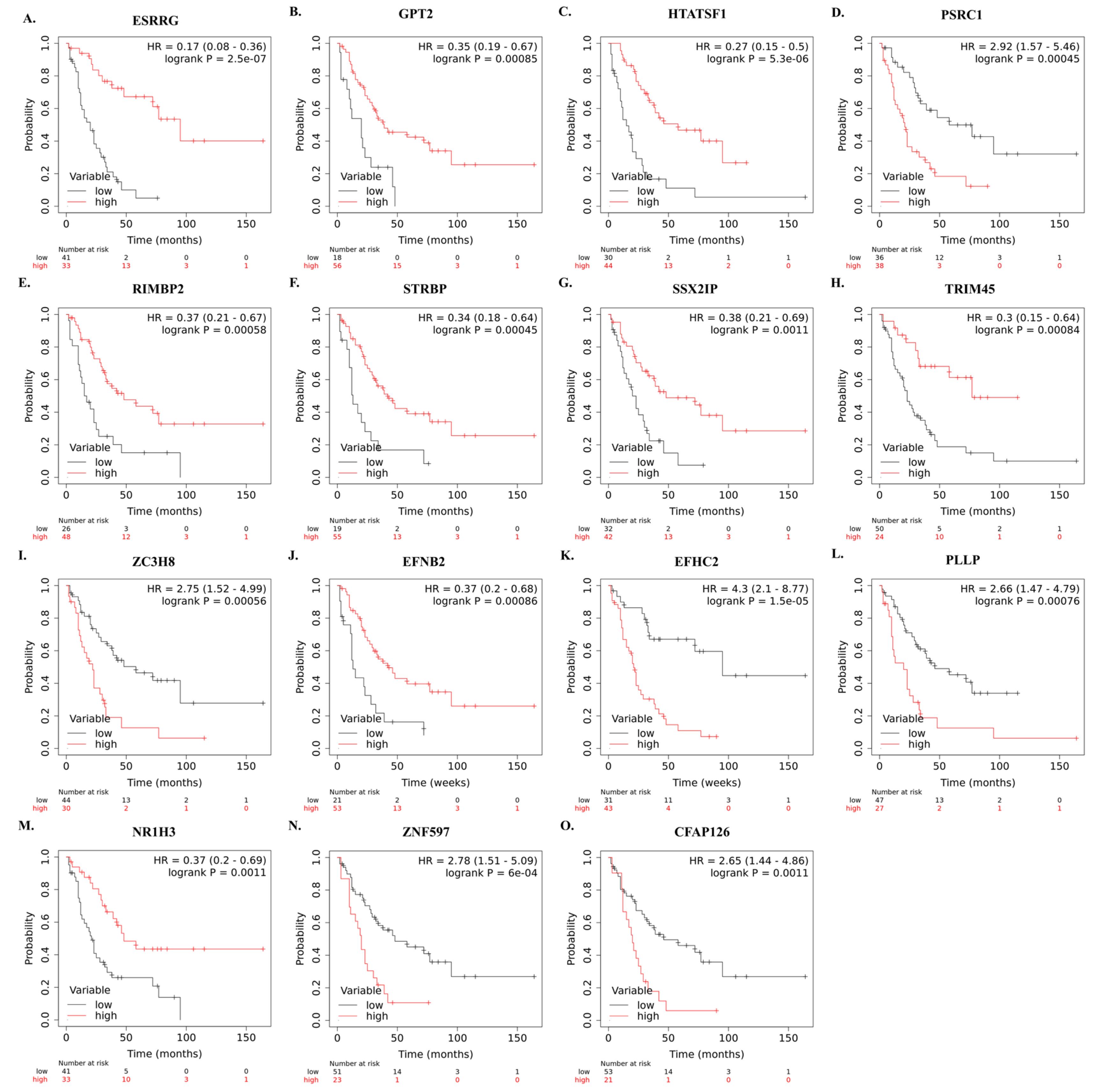 Cancers 15 05219 g005