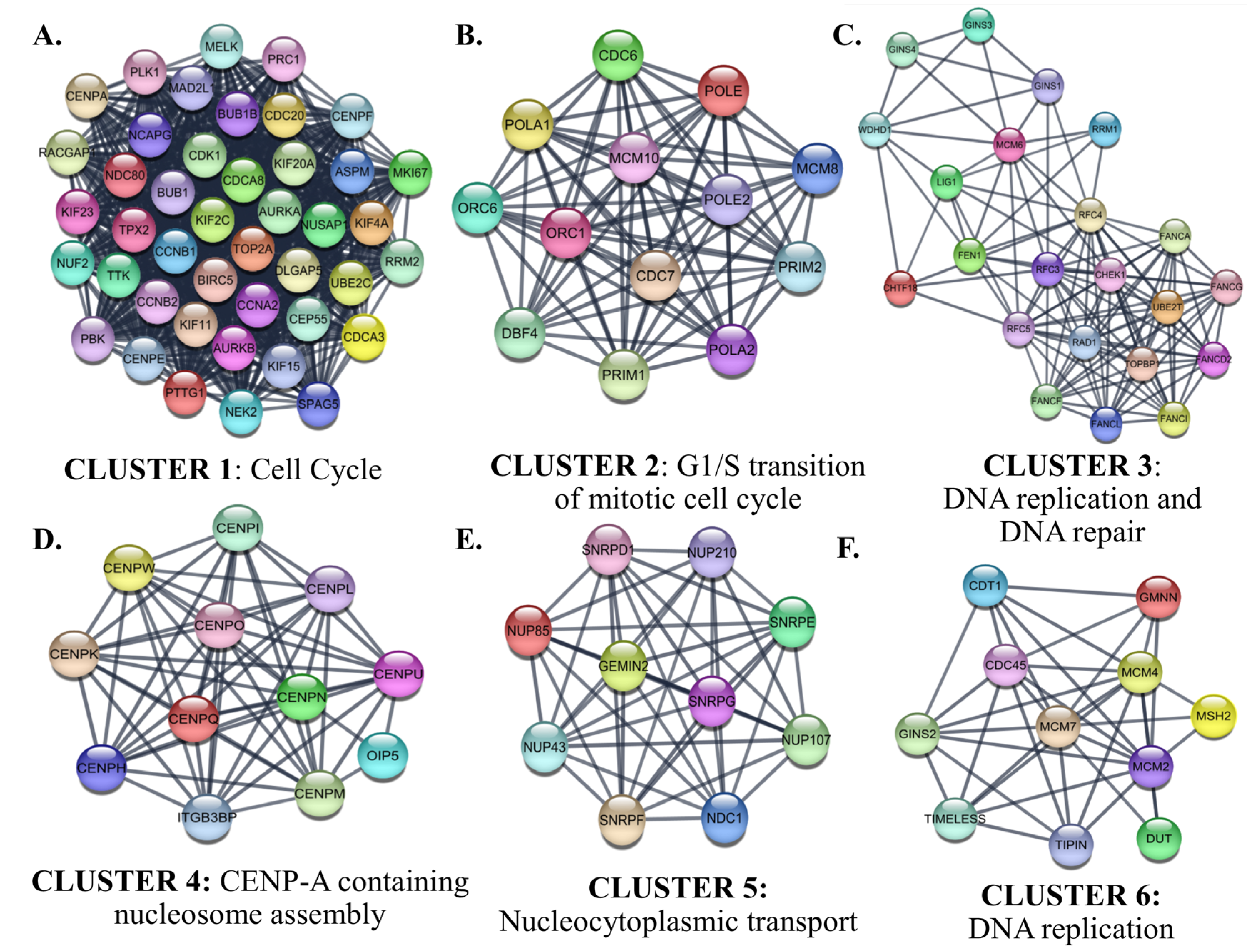 Cancers 15 05219 g010