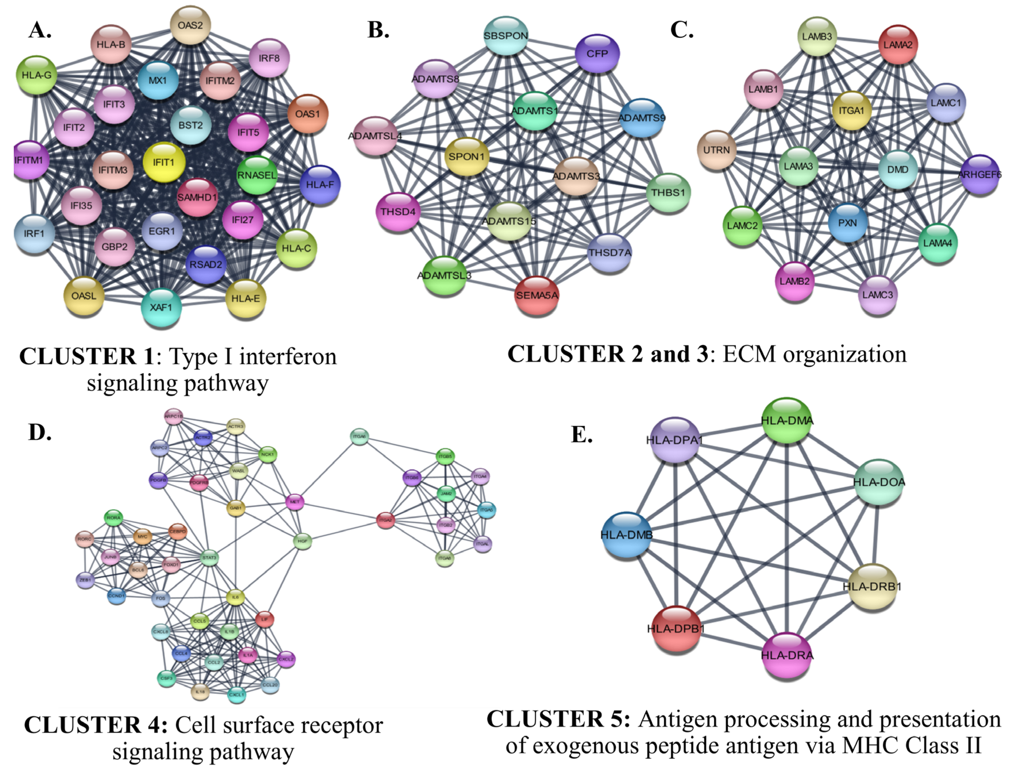 Cancers 15 05219 g011