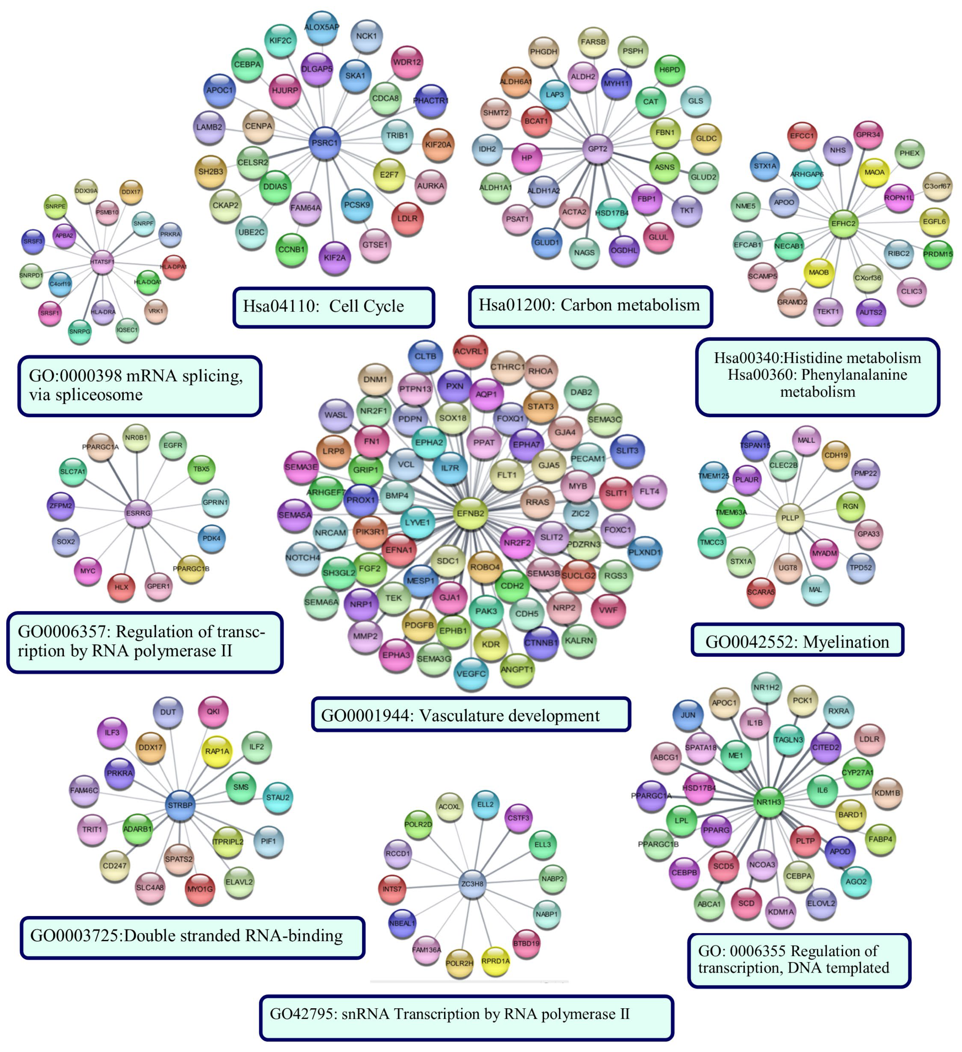 Cancers 15 05219 g012