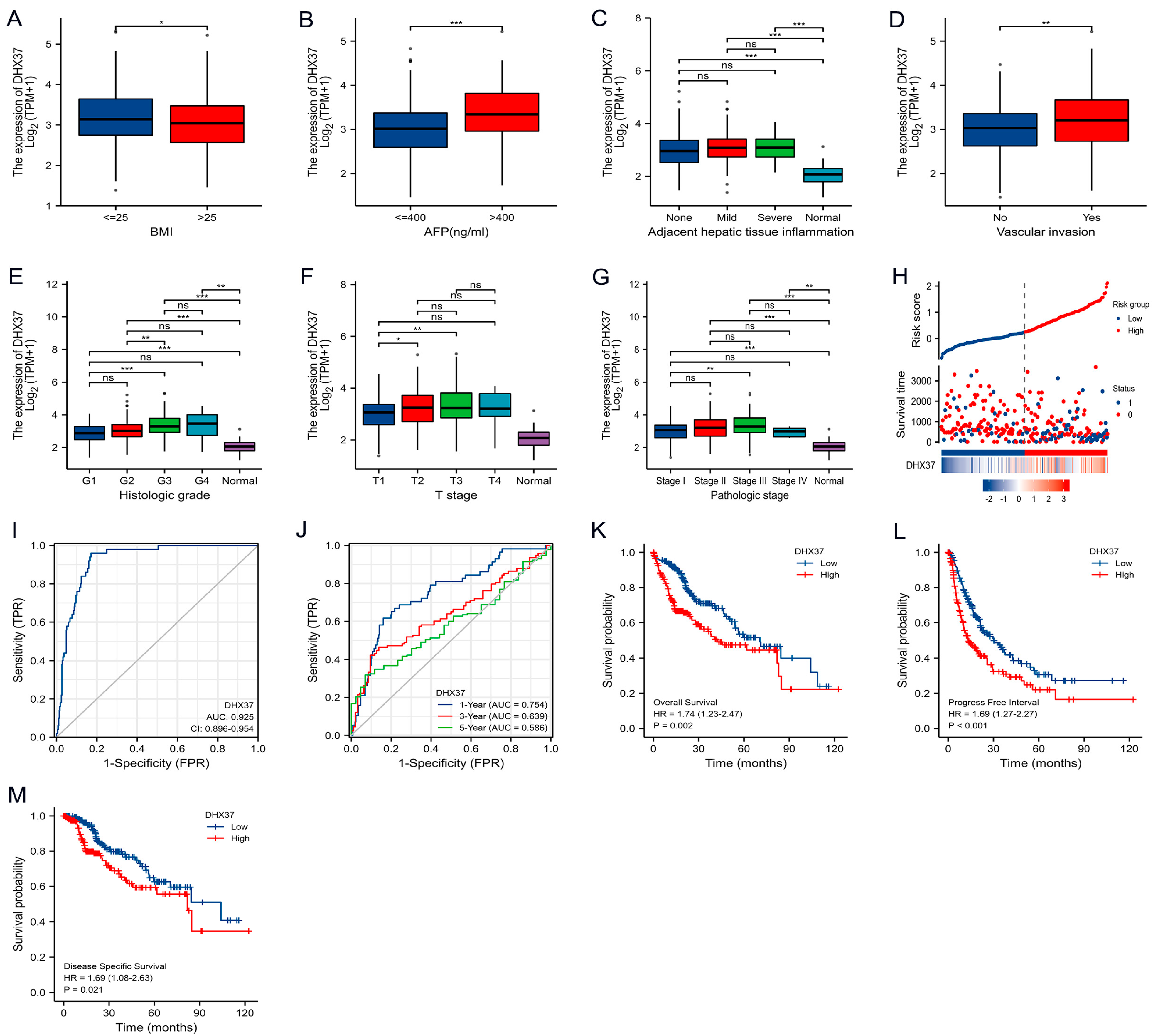 Cancers 15 05228 g002