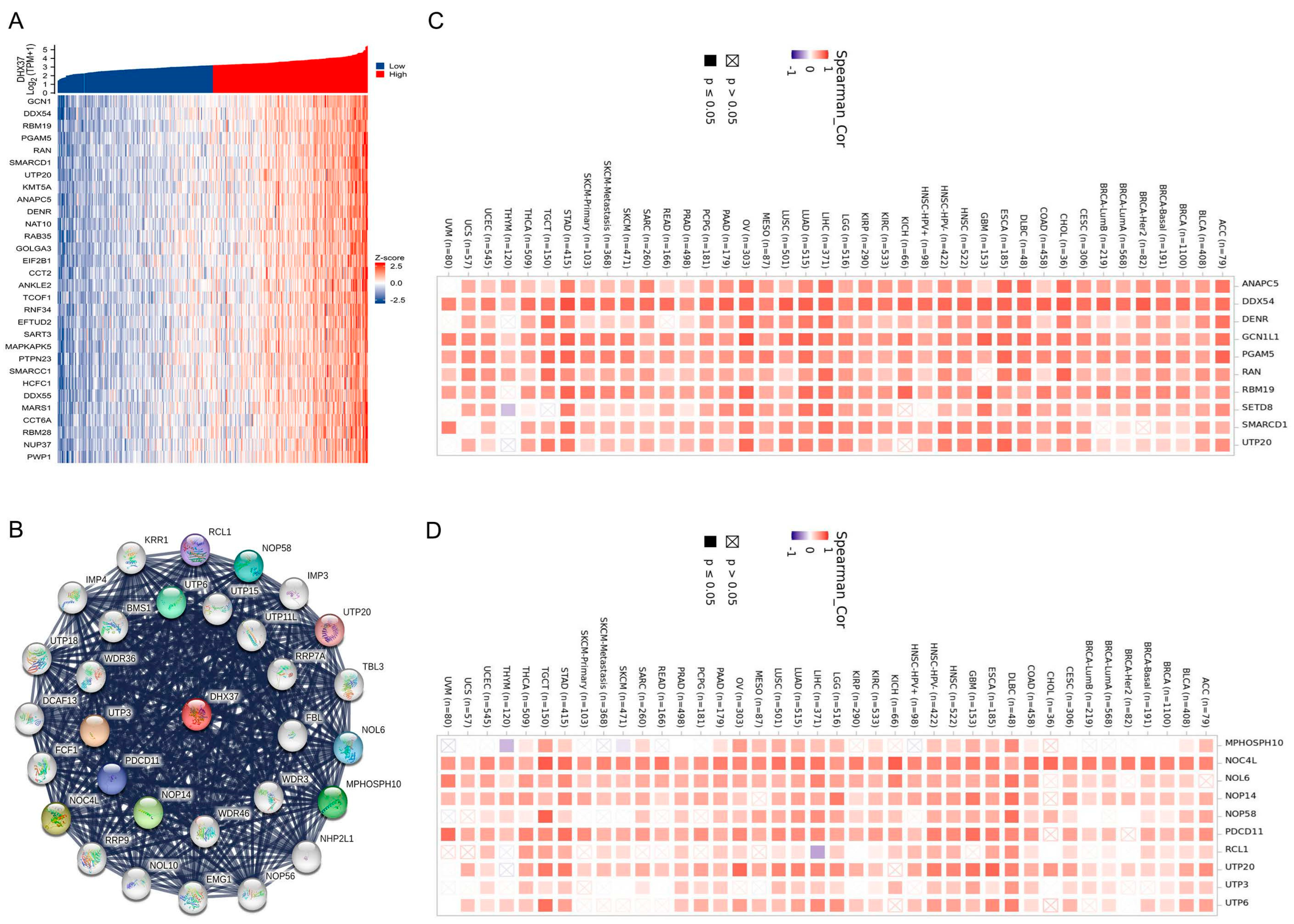 Cancers 15 05228 g006