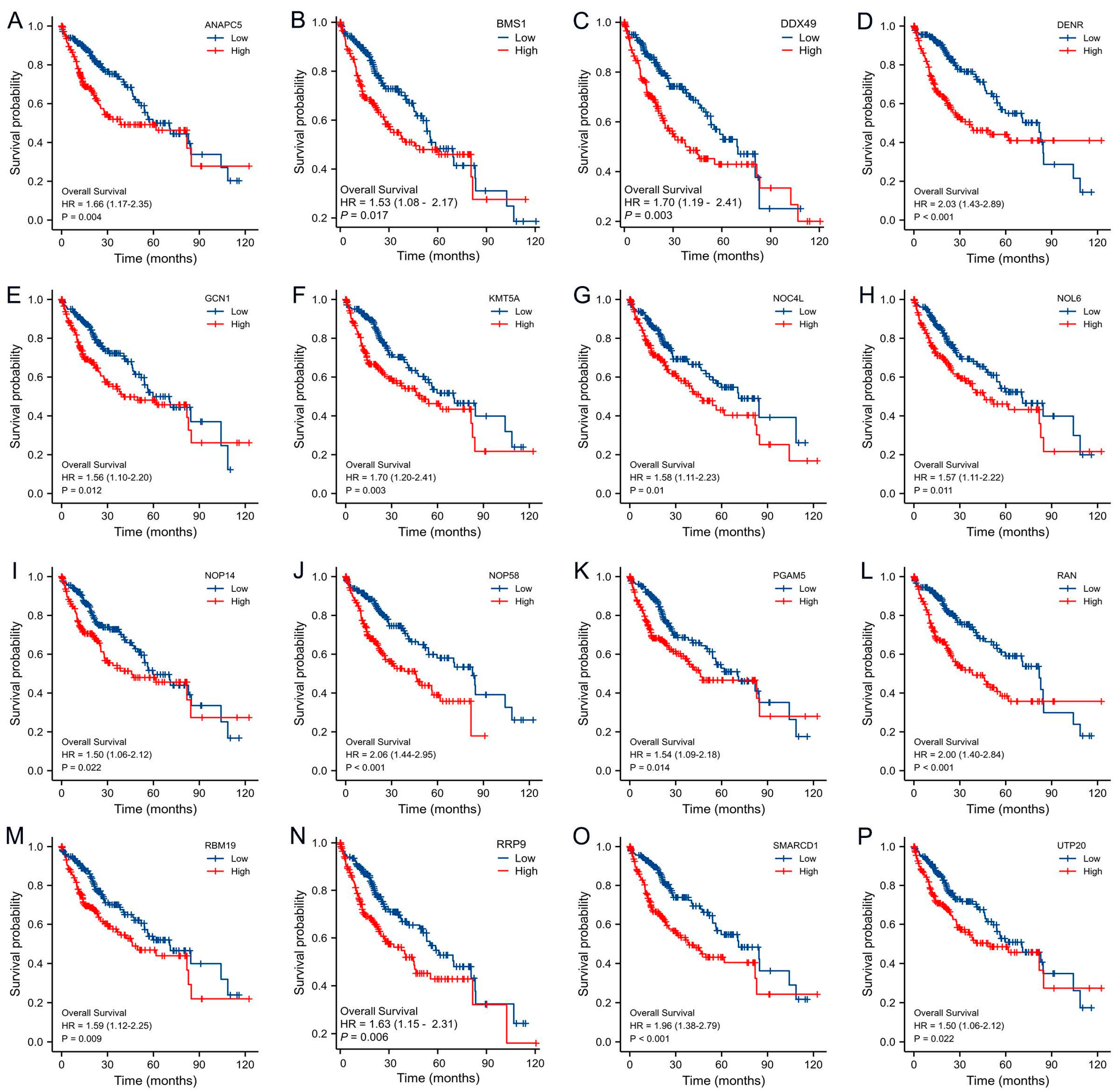 Cancers 15 05228 g007