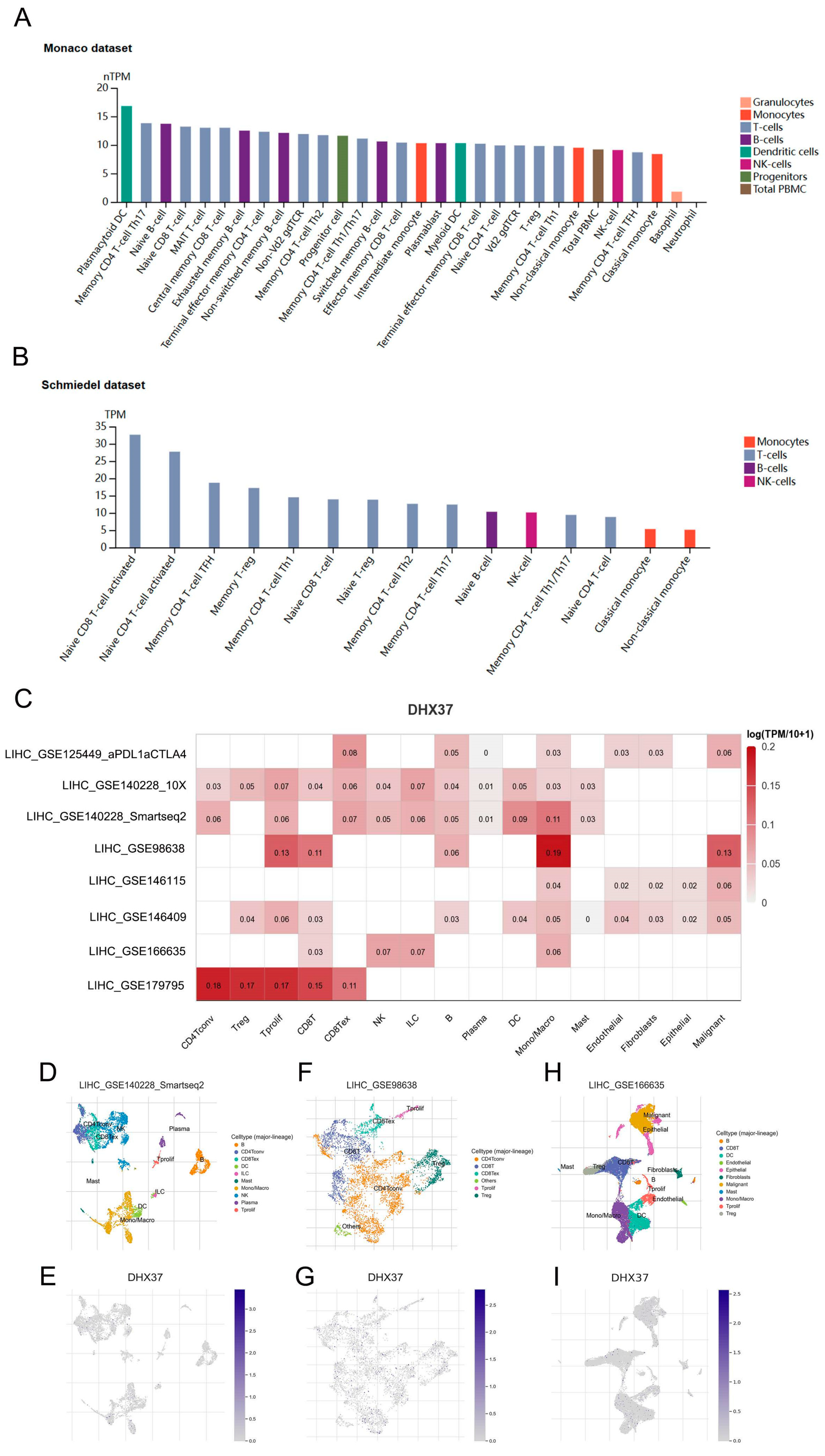 Cancers 15 05228 g010
