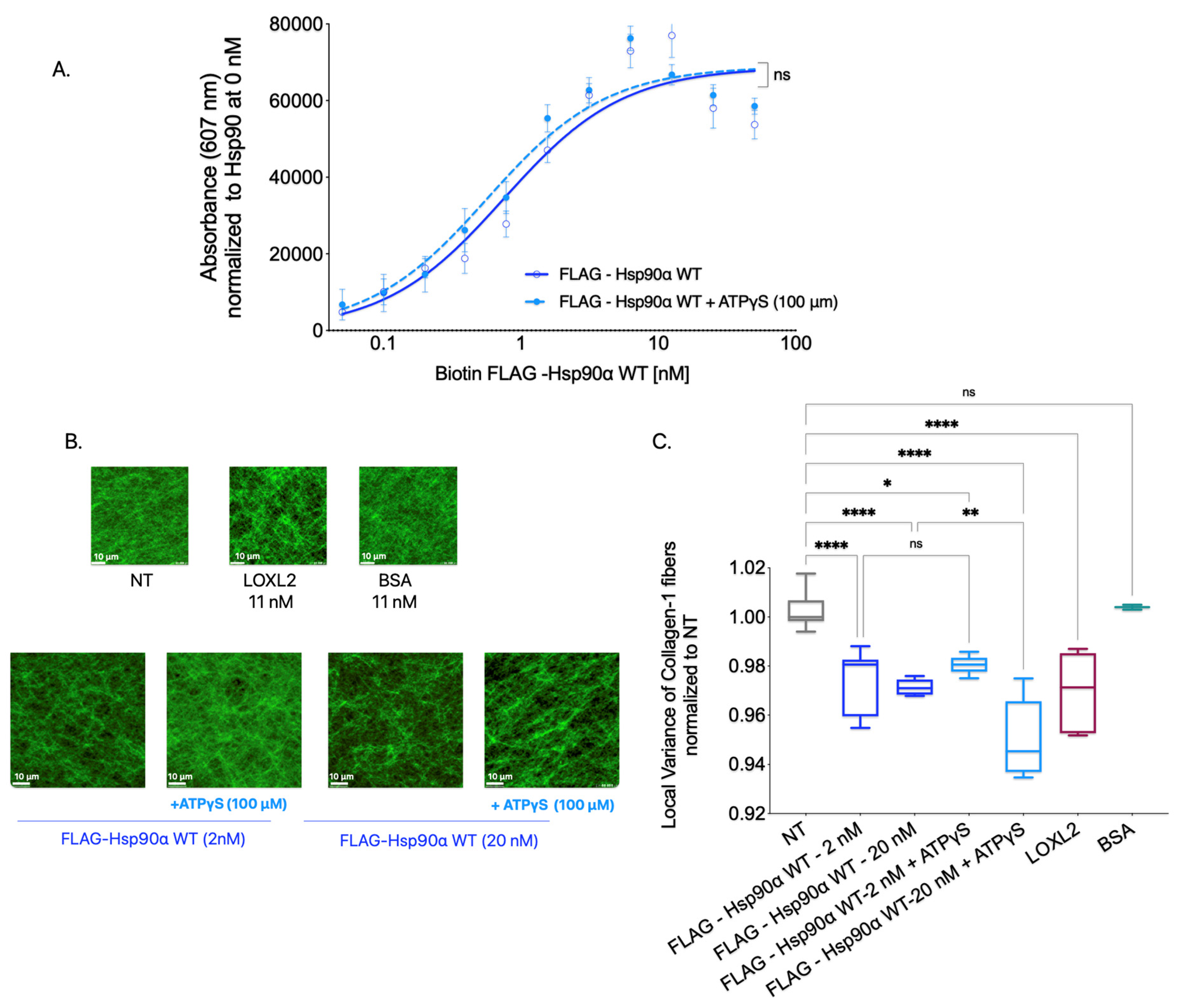 Cancers 15 05237 g004