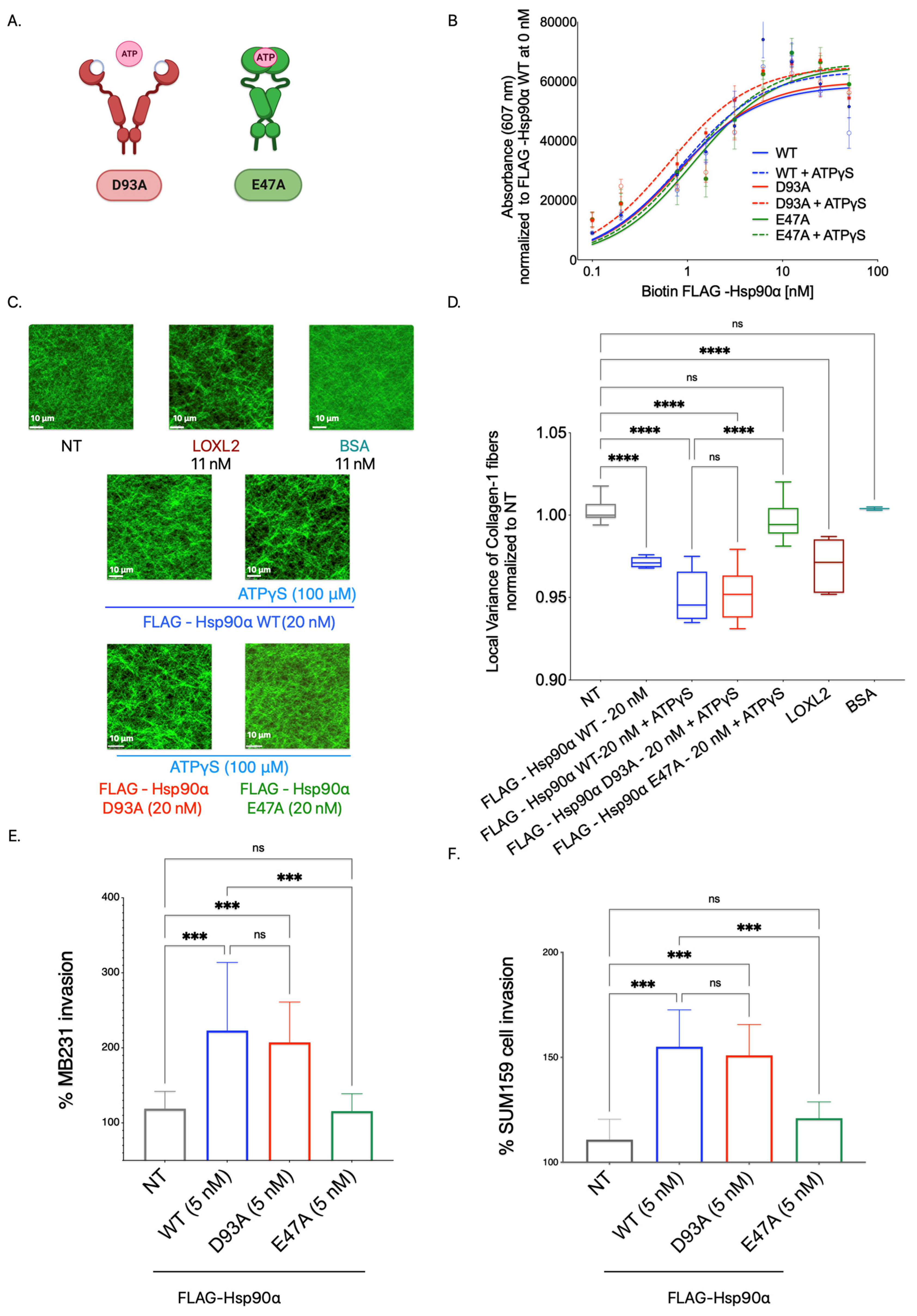Cancers 15 05237 g005