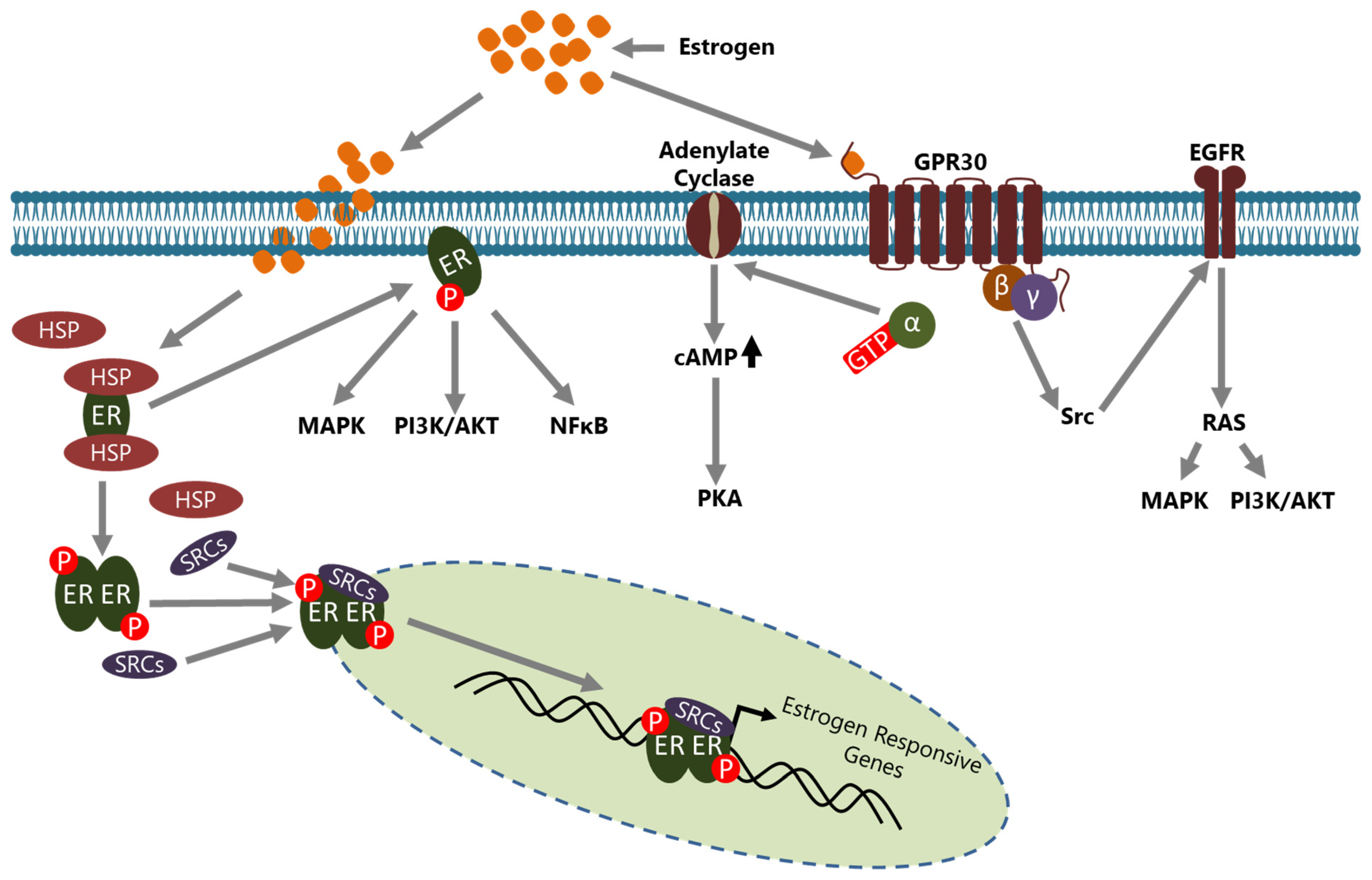 Cancers 15 05242 g001