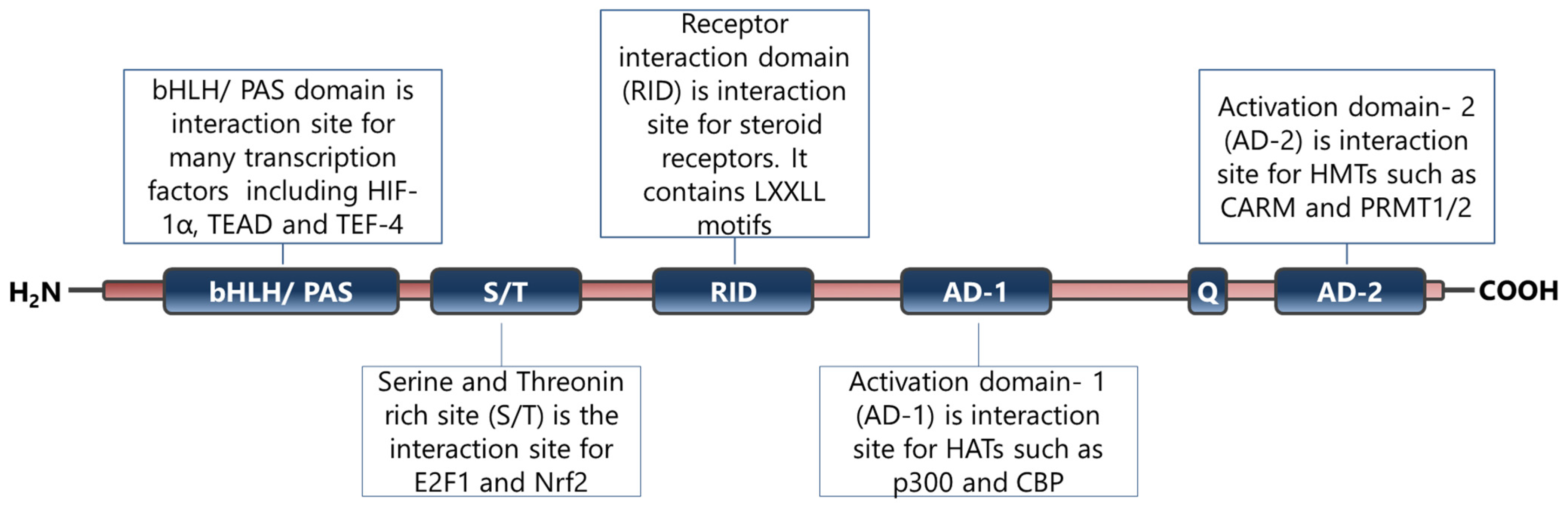 Cancers 15 05242 g002