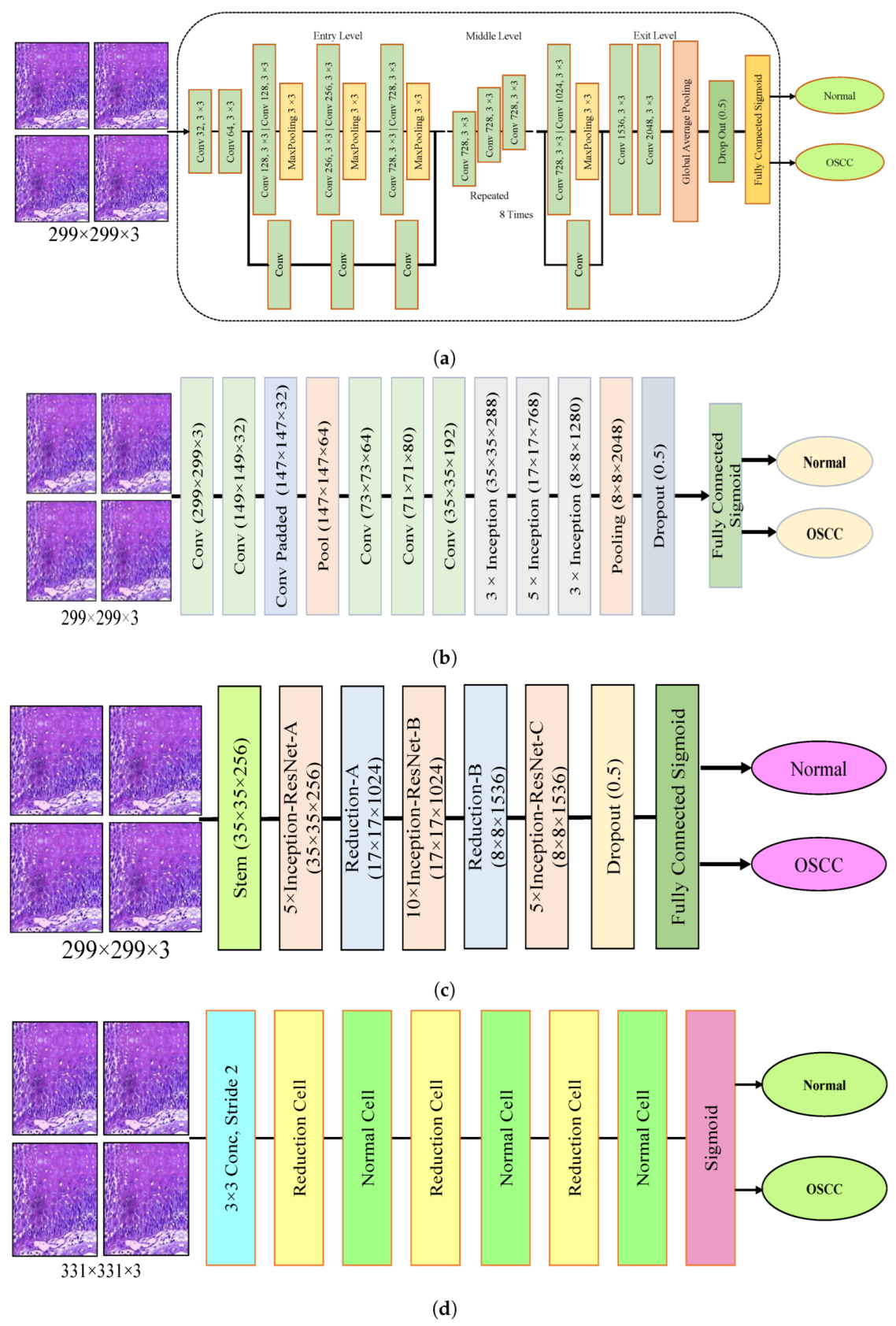 Cancers 15 05247 g003a