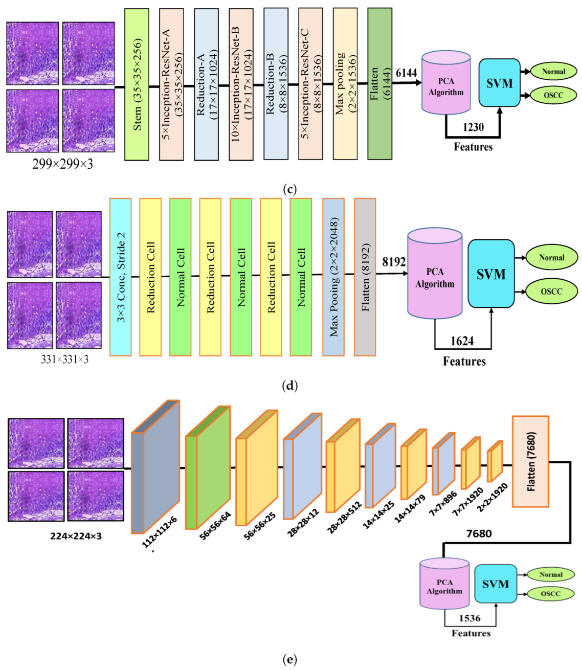 Cancers 15 05247 g004b