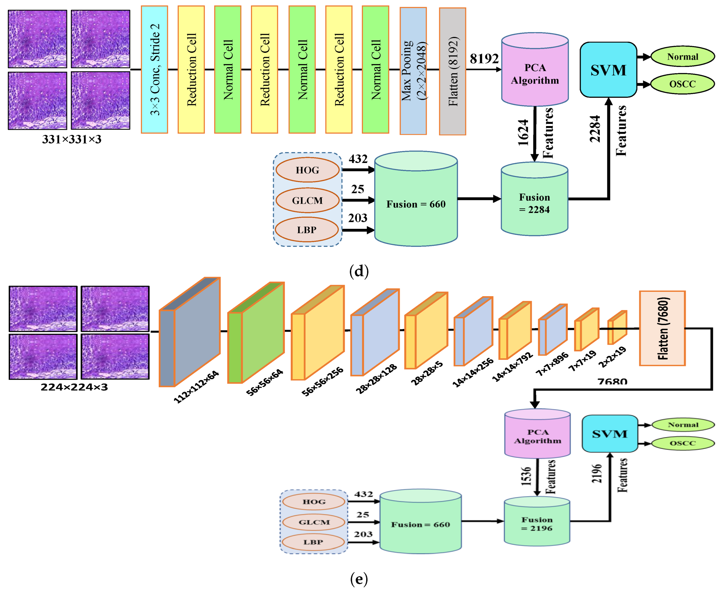 Cancers 15 05247 g005b