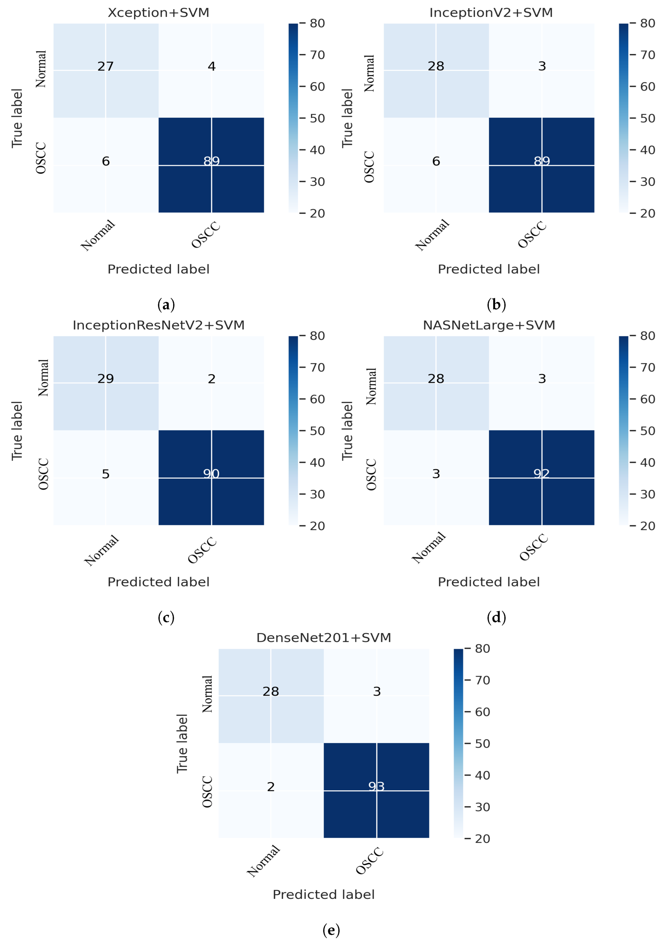 Cancers 15 05247 g011