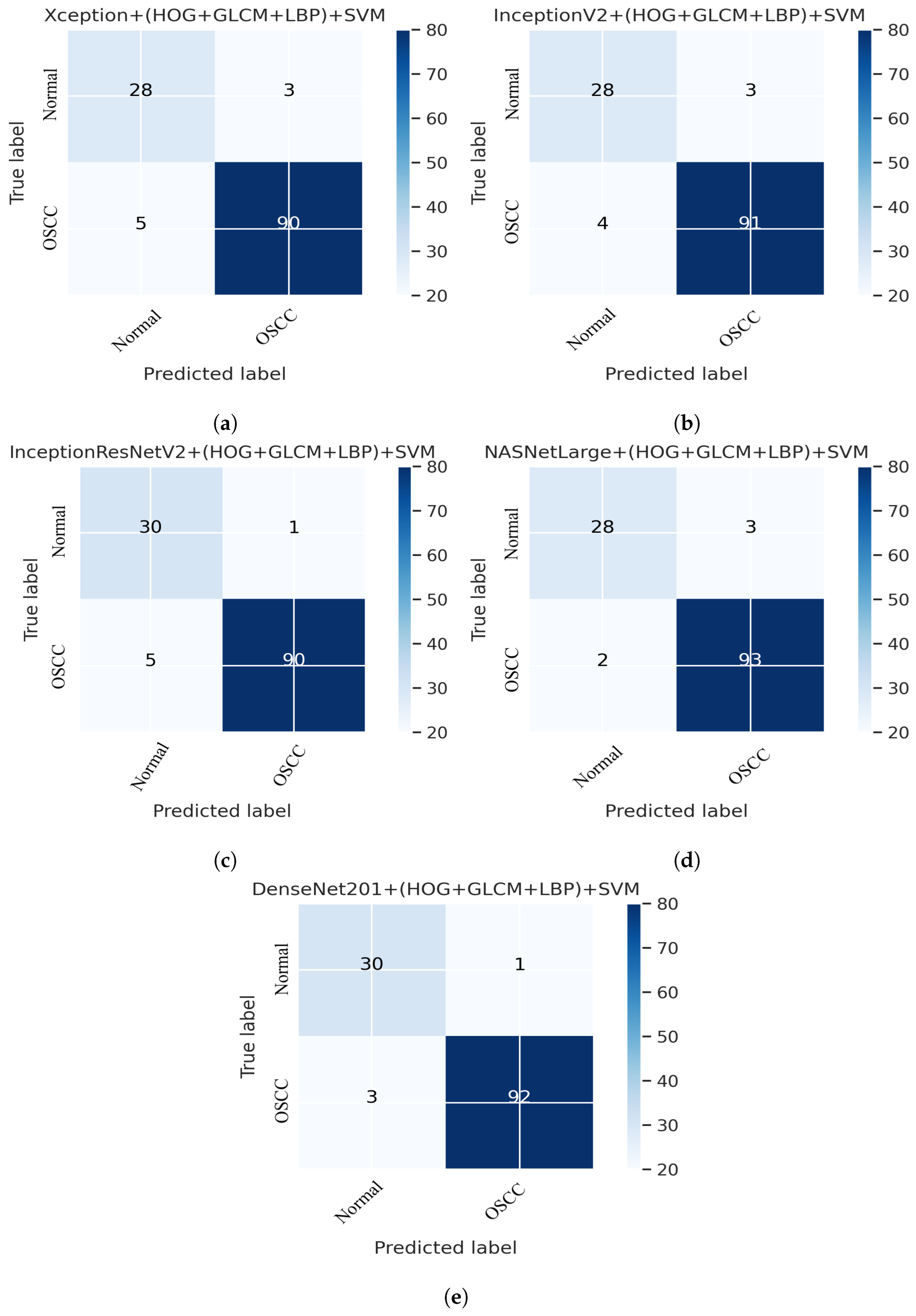 Cancers 15 05247 g012