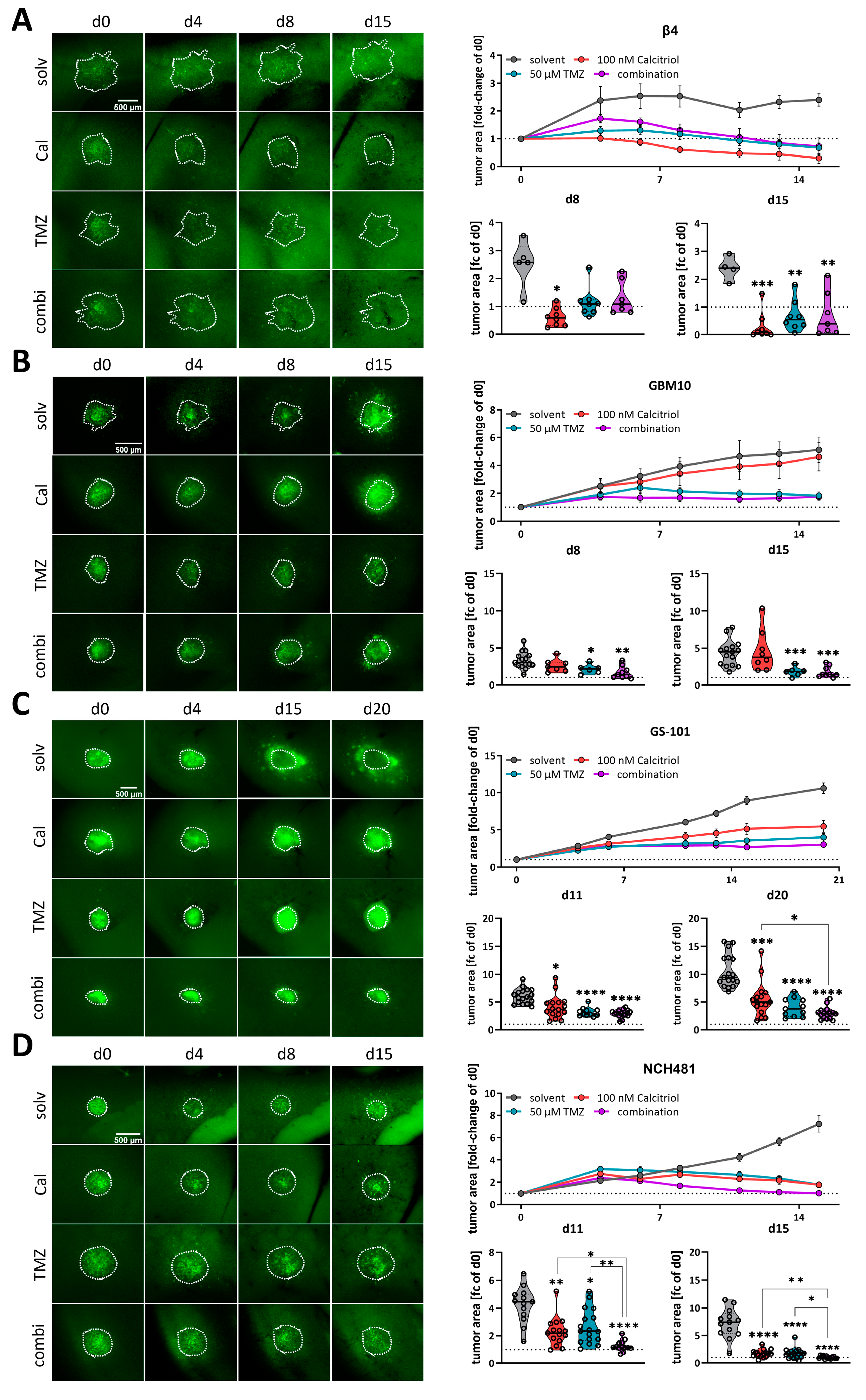 Cancers 15 05249 g004