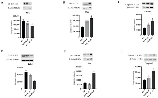 Cancers 15 05250 g004