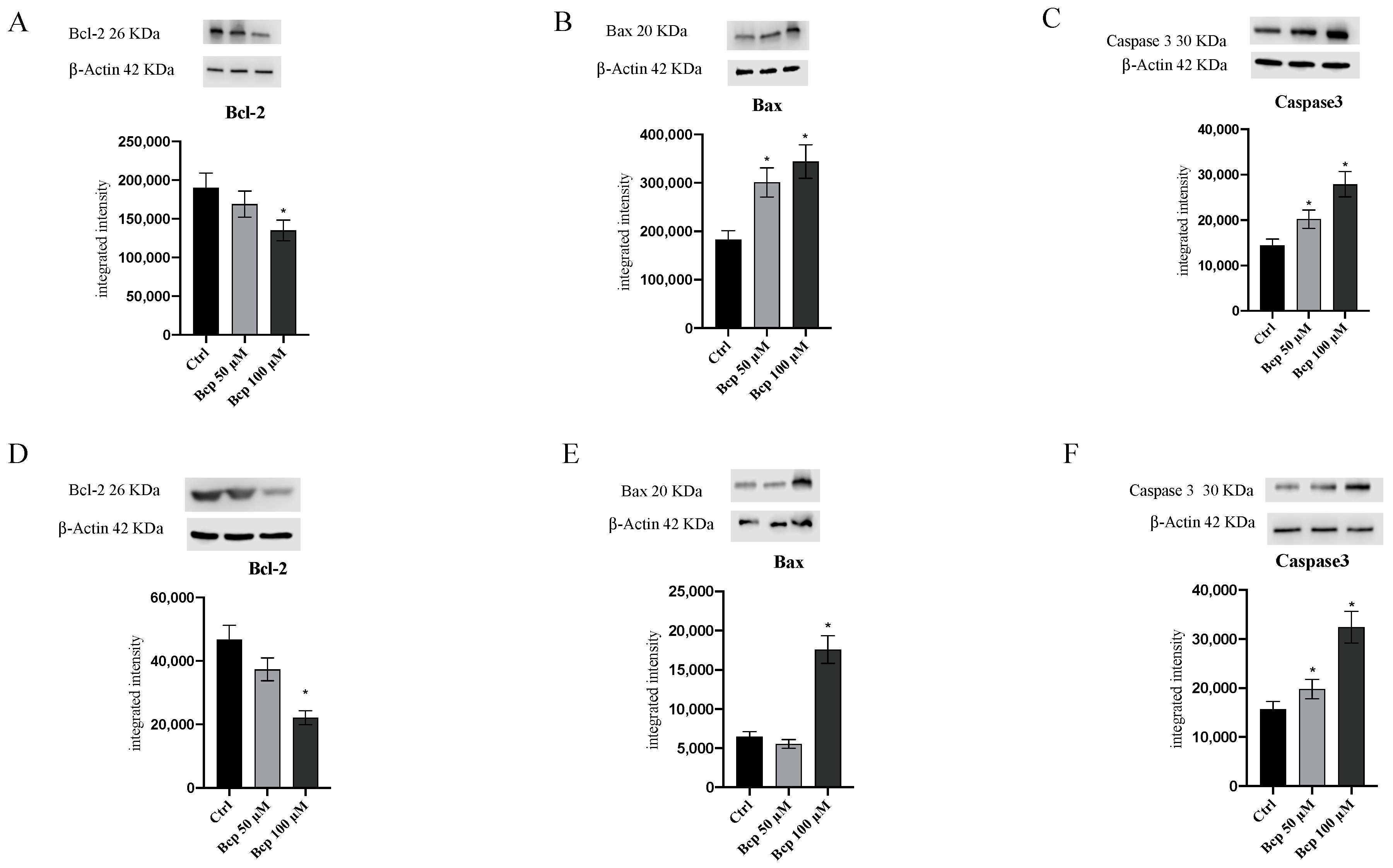 Cancers 15 05250 g004