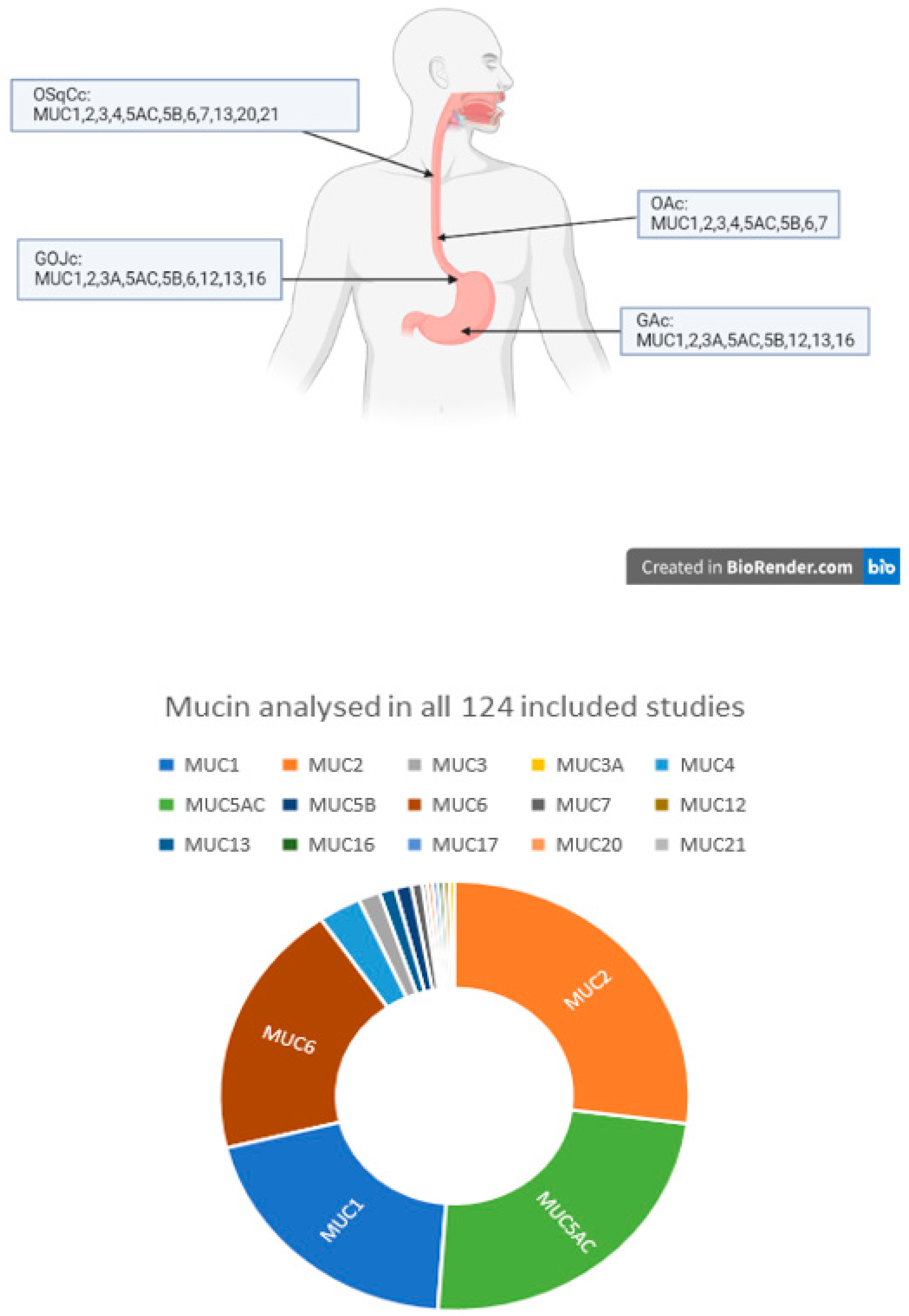Cancers 15 05252 g002