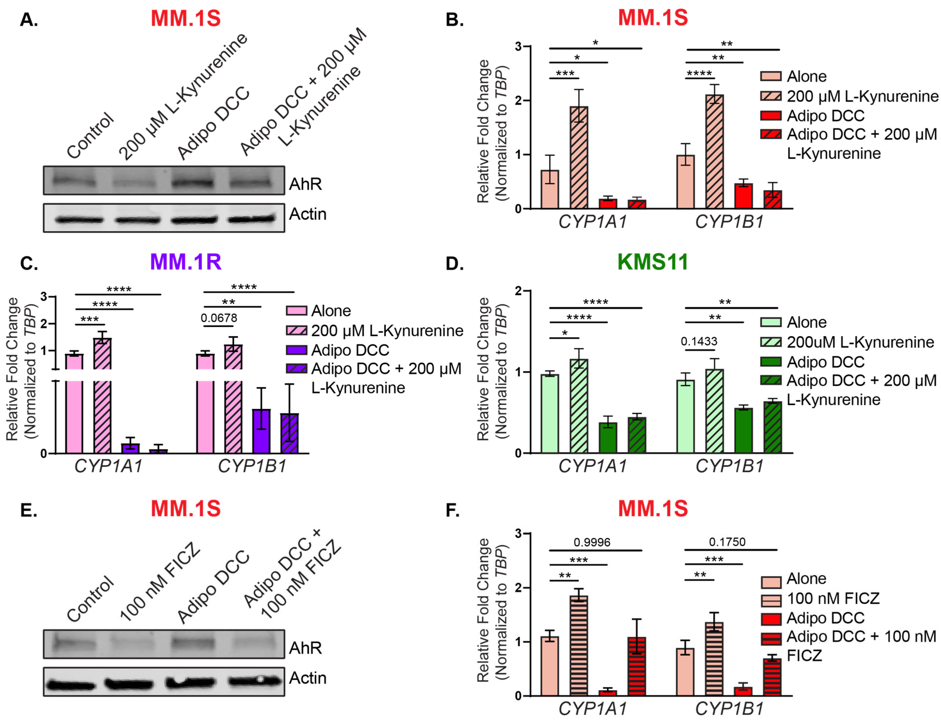 Cancers 15 05255 g004