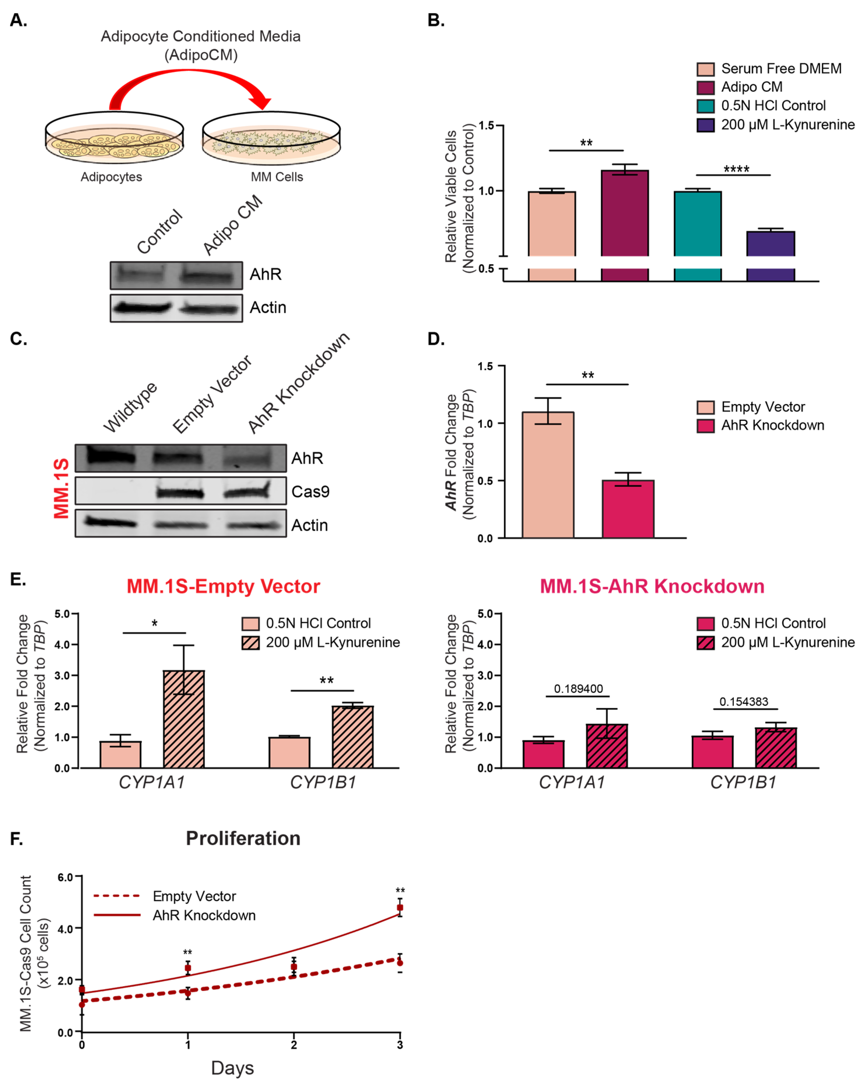 Cancers 15 05255 g005