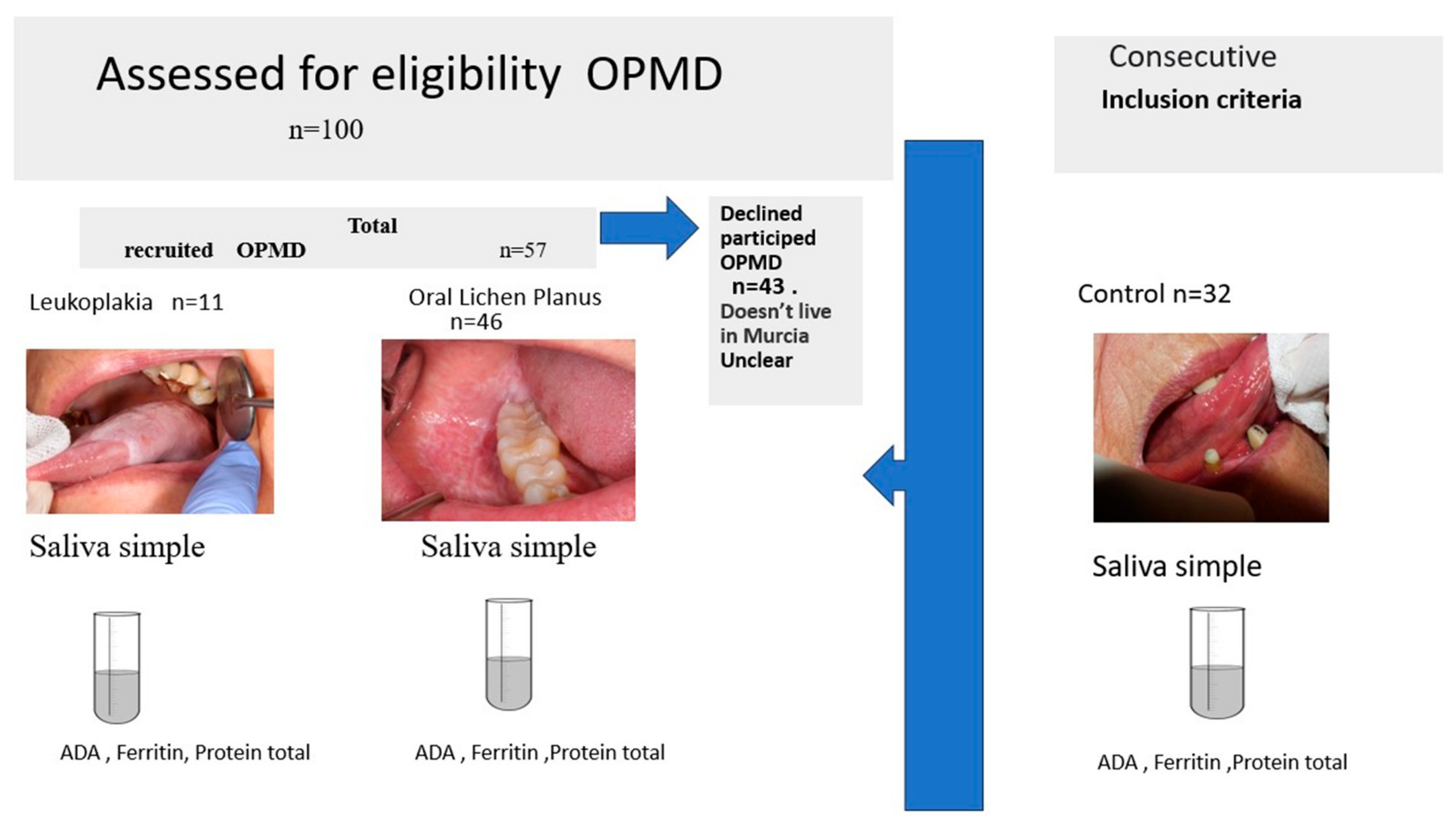 Cancers 15 05256 g001