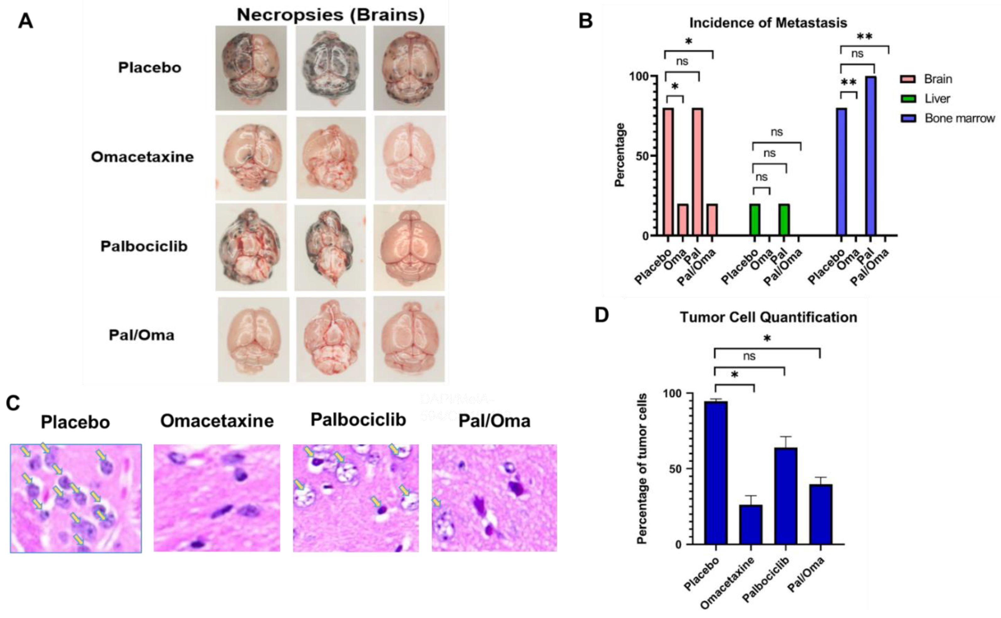 Cancers 15 05263 g002