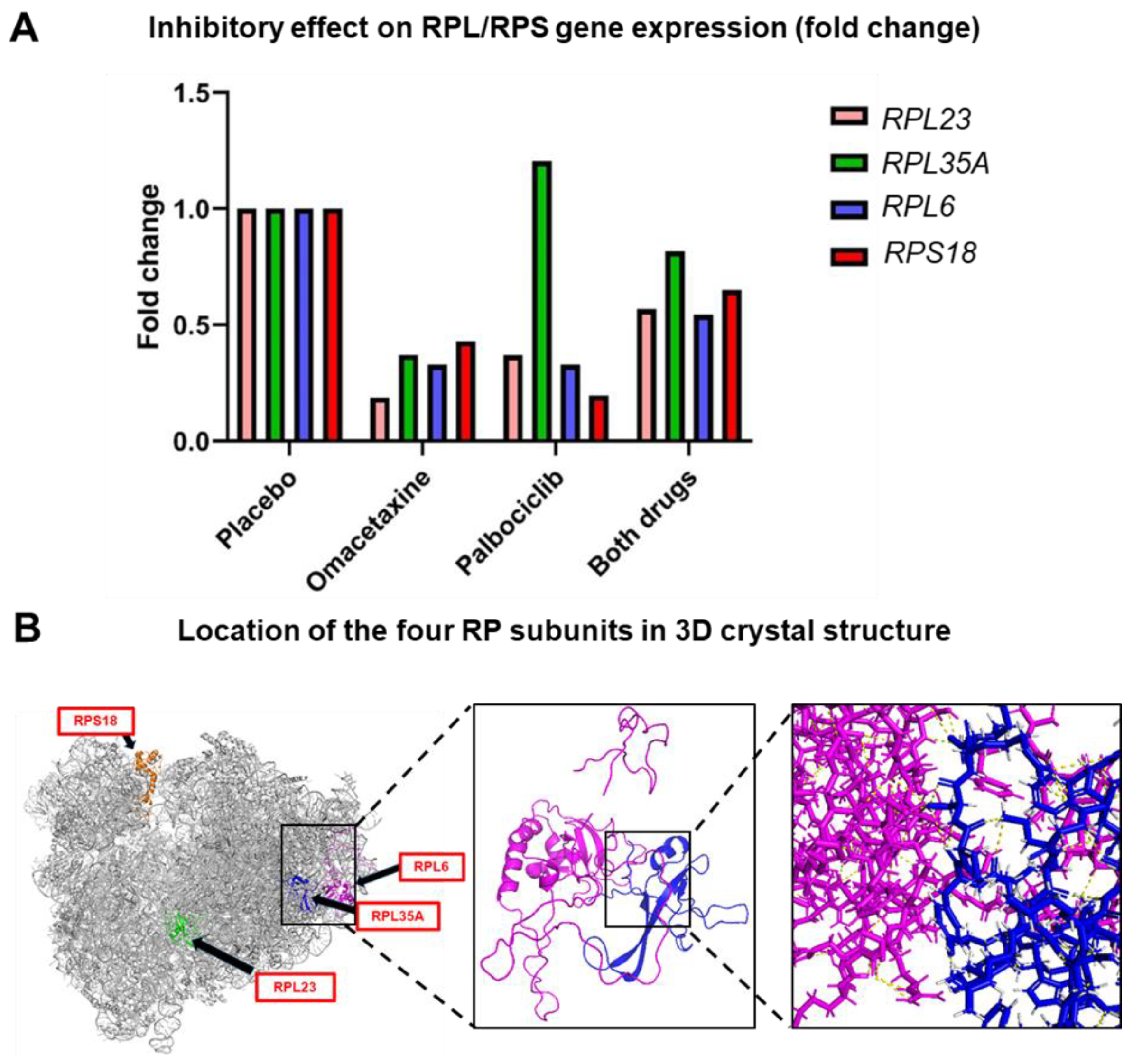 Cancers 15 05263 g005