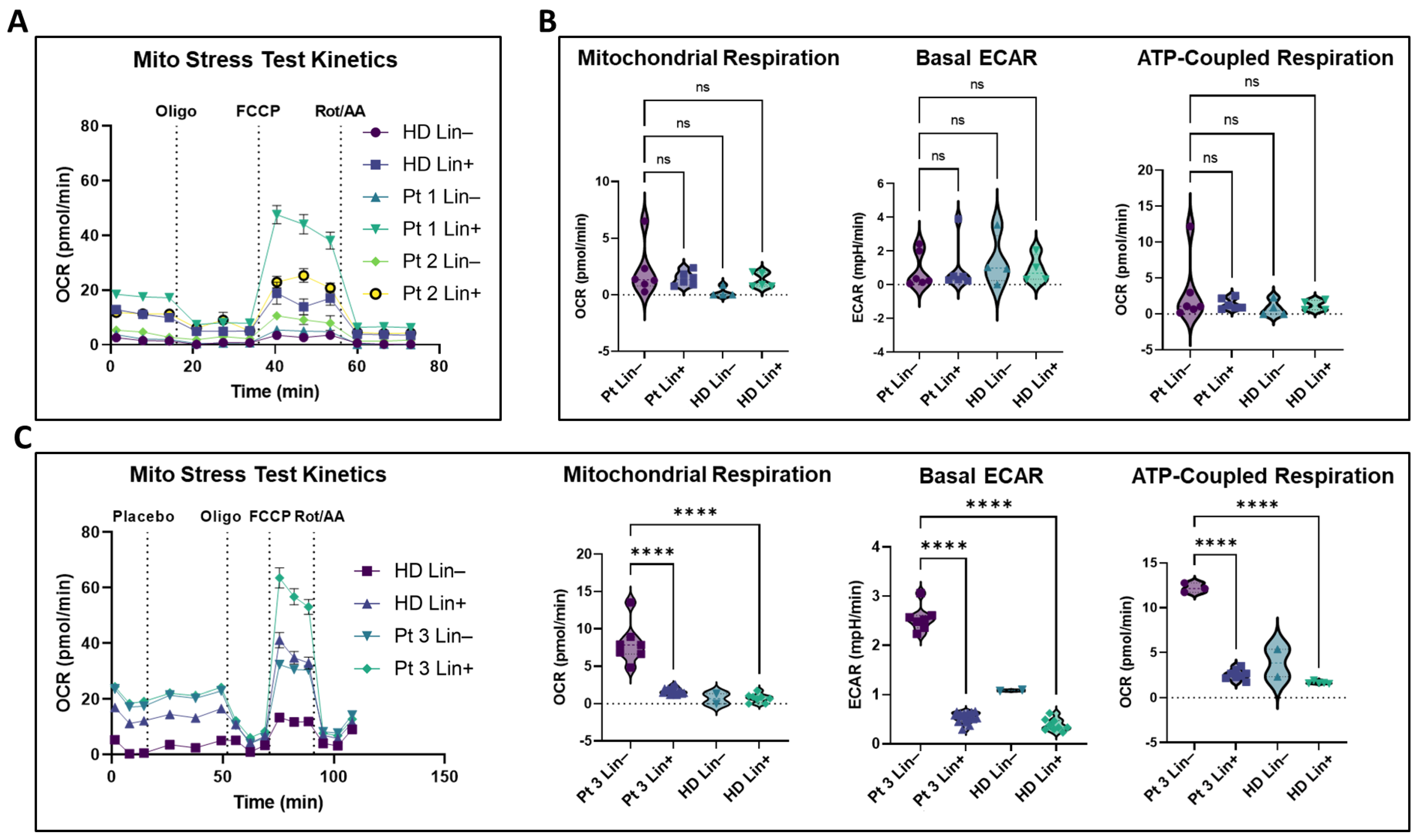 Cancers 15 05263 g006