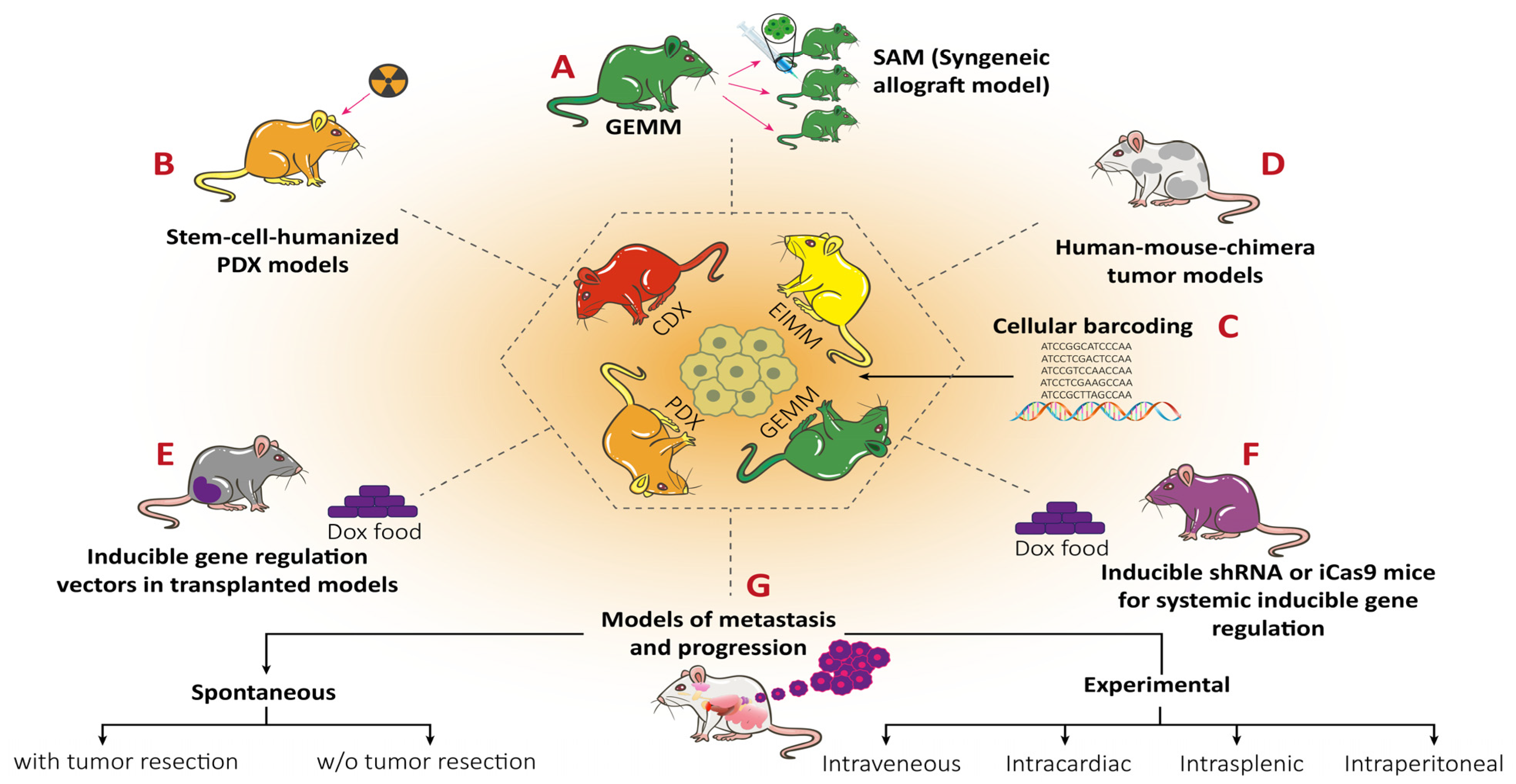 Cancers 15 05269 g005