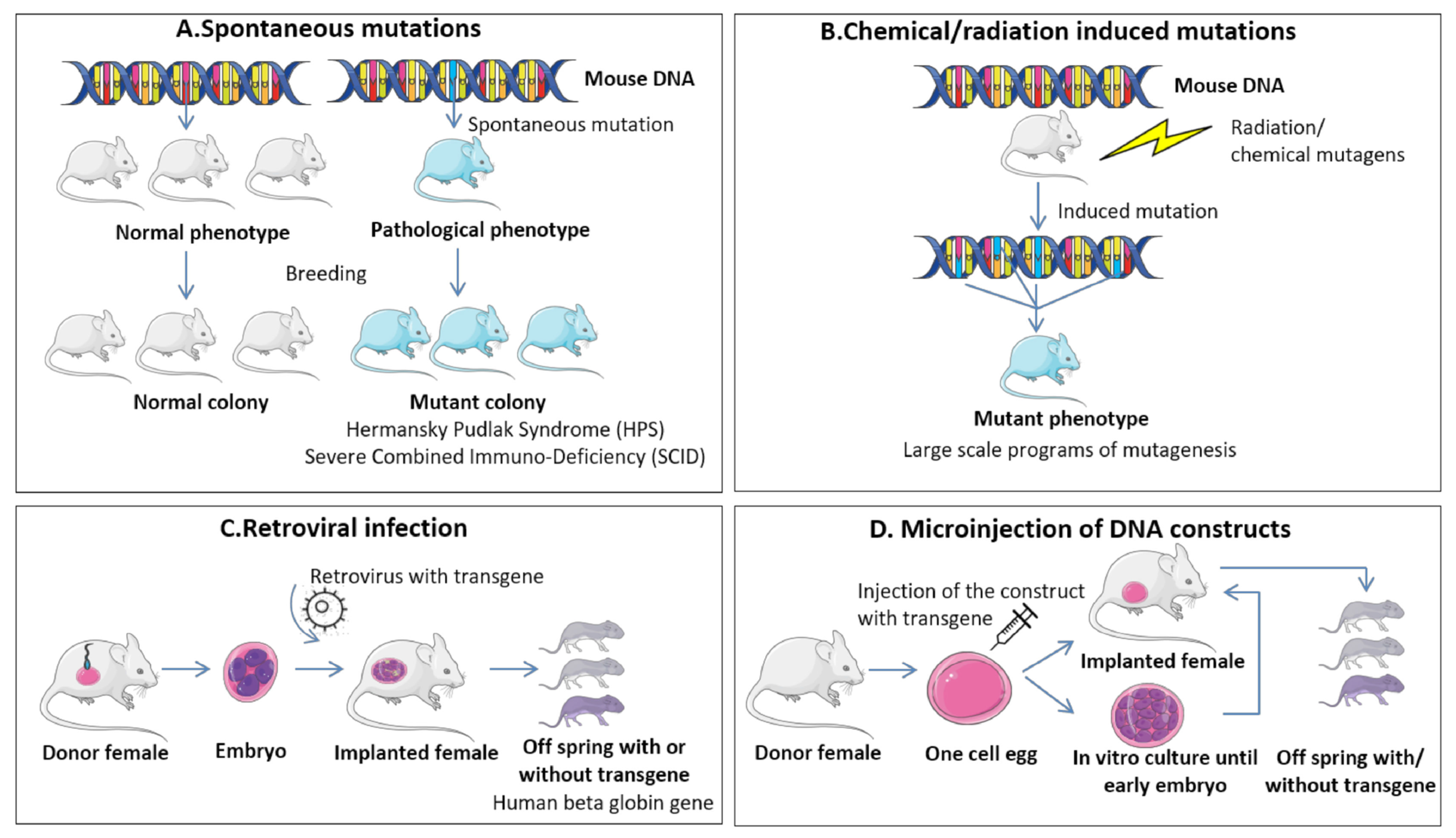 Cancers 15 05269 g007