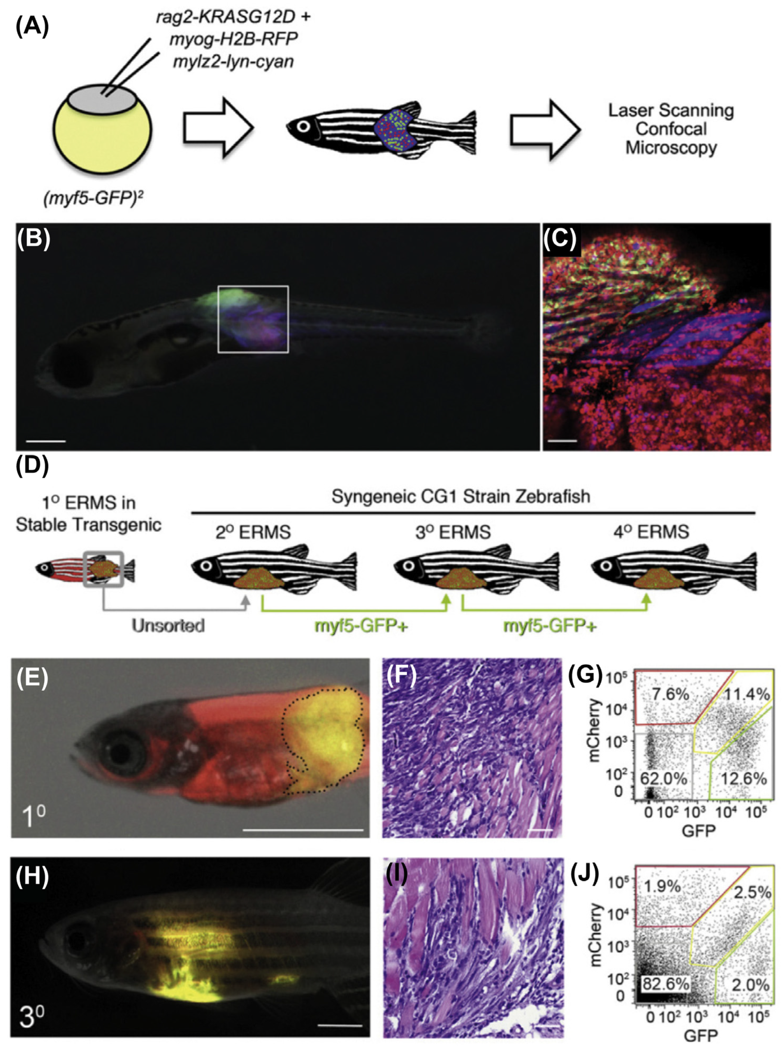 Cancers 15 05269 g009