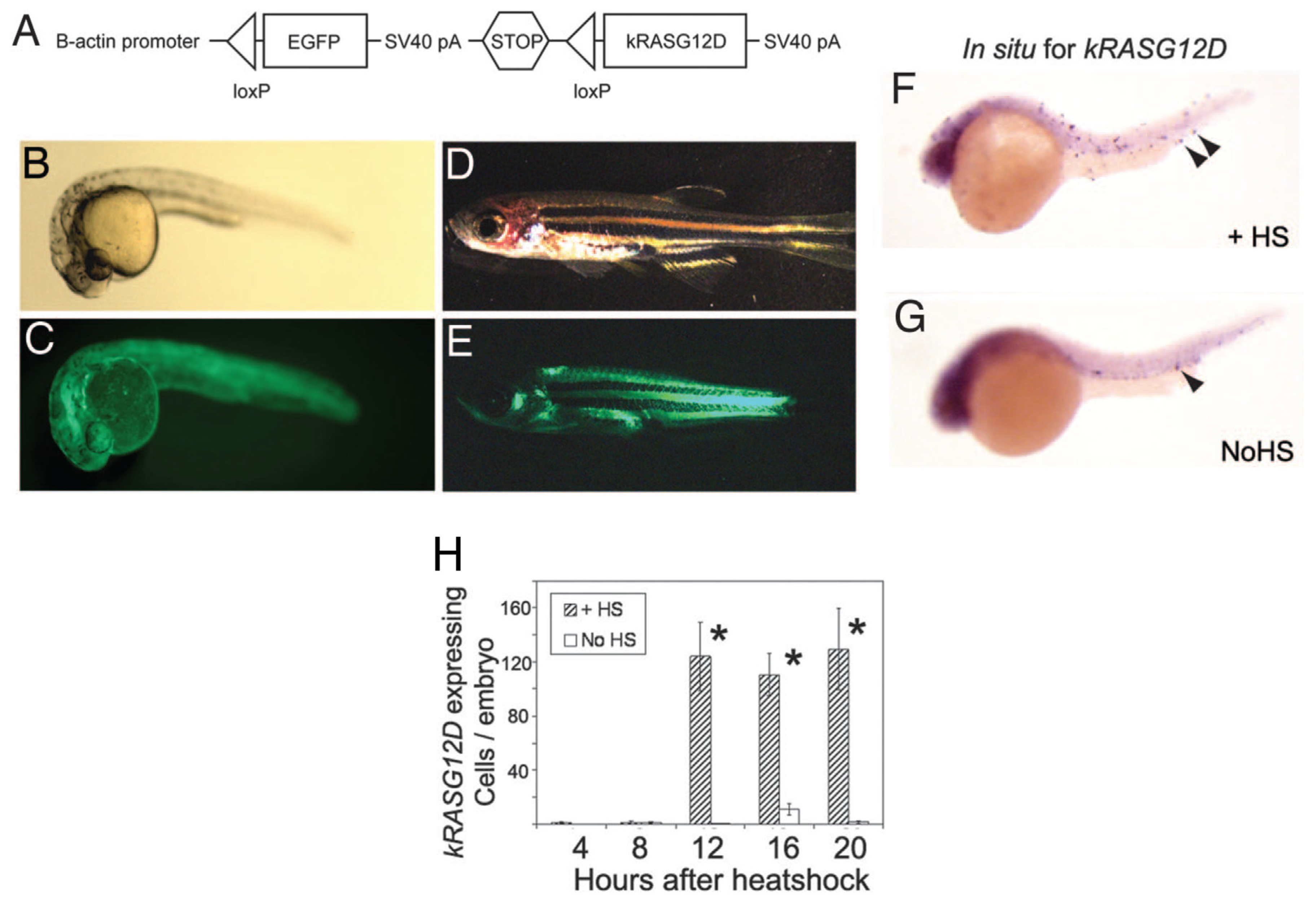 Cancers 15 05269 g010