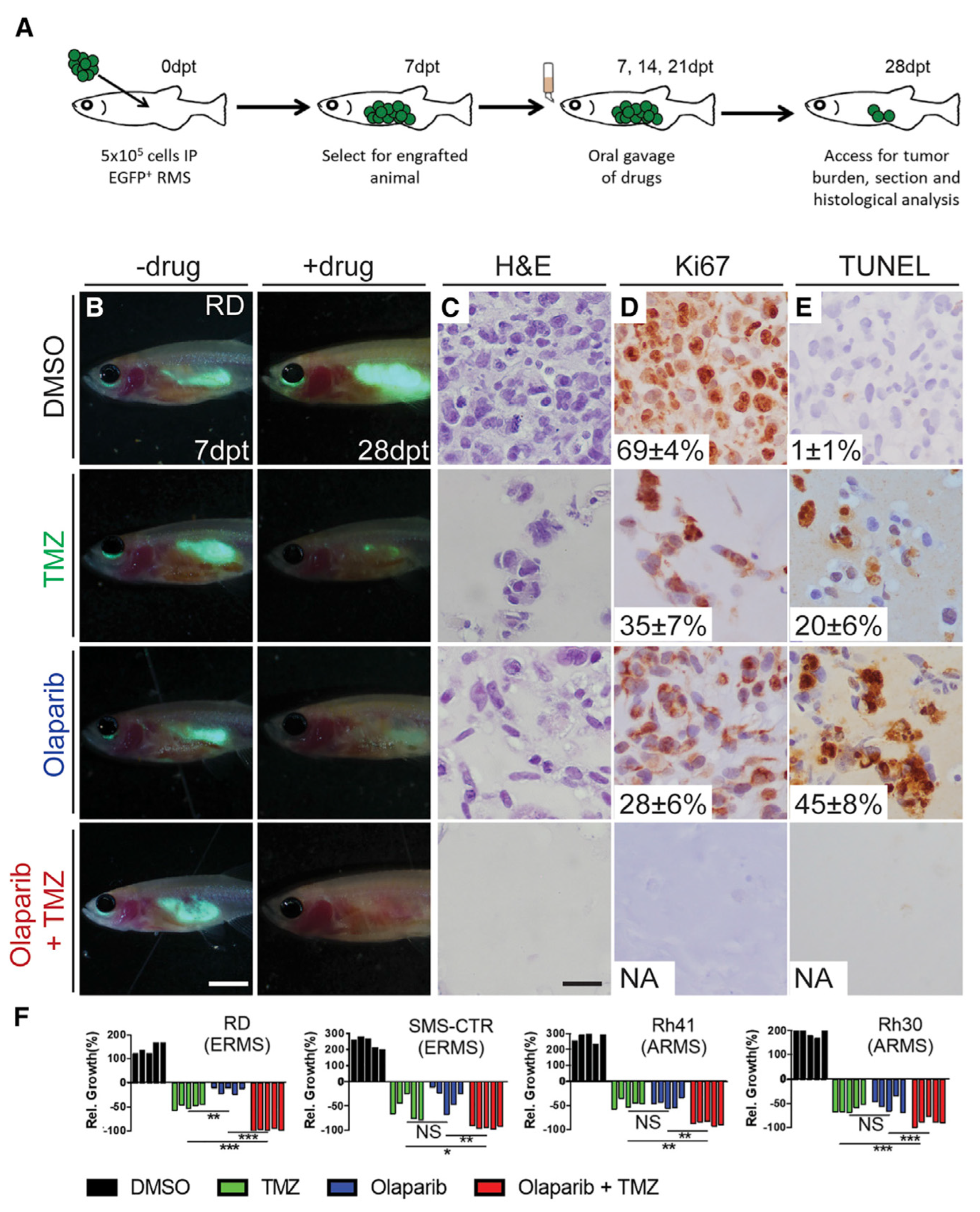 Cancers 15 05269 g013