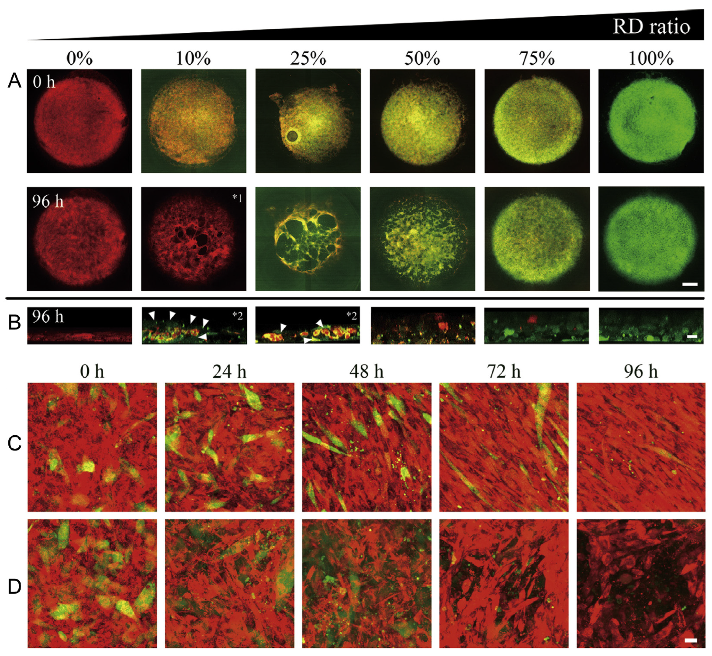 Cancers 15 05269 g018