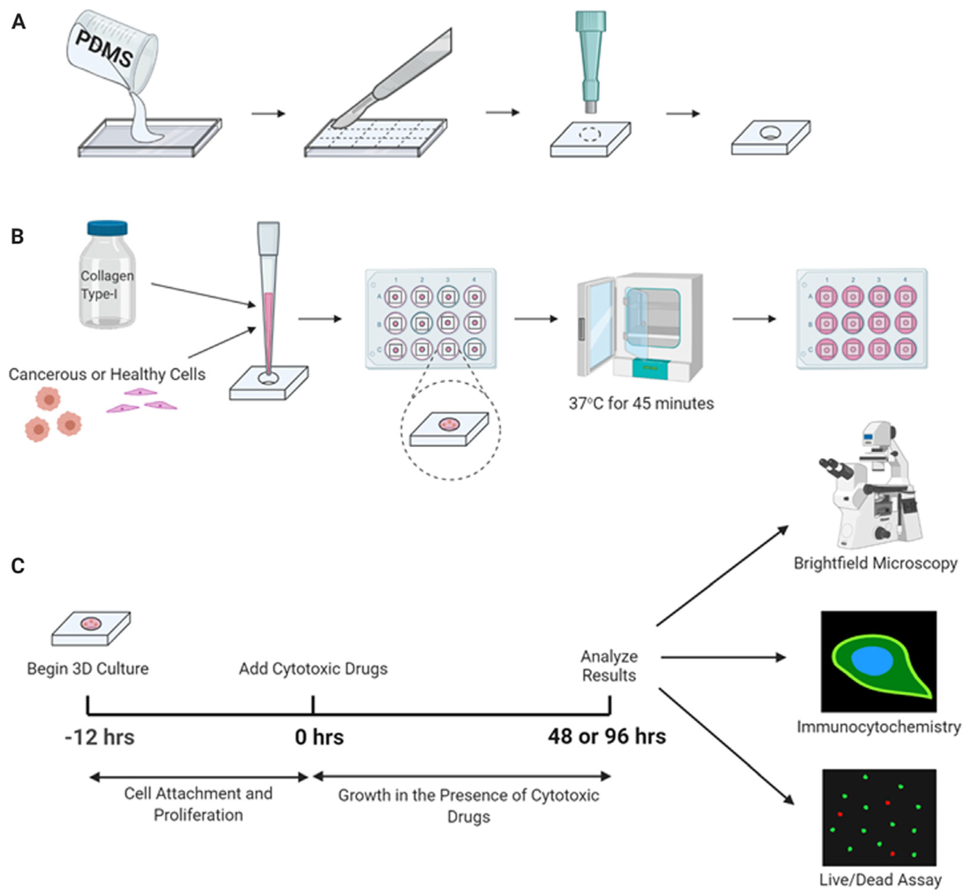 Cancers 15 05269 g019
