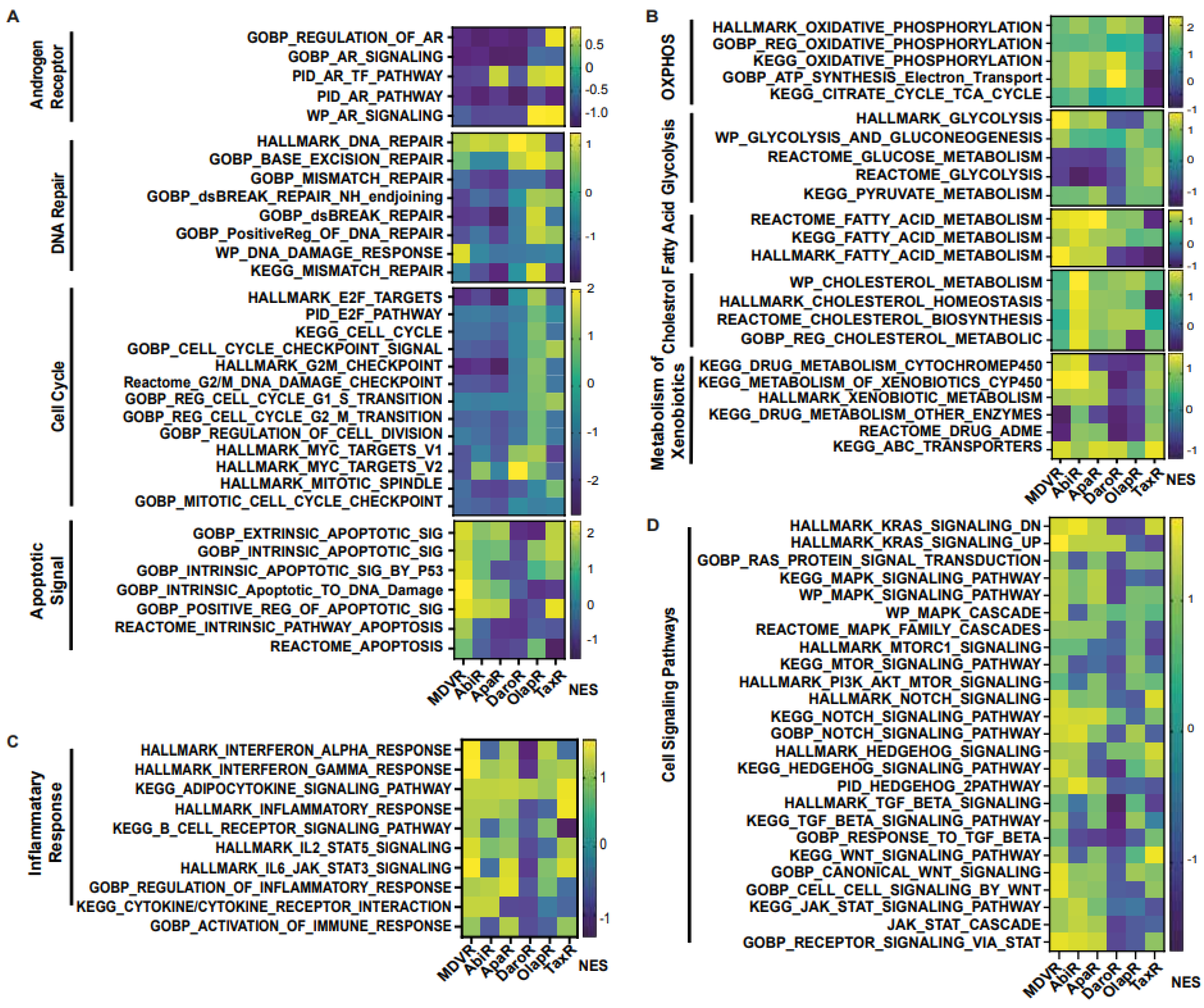 Cancers 15 05273 g005
