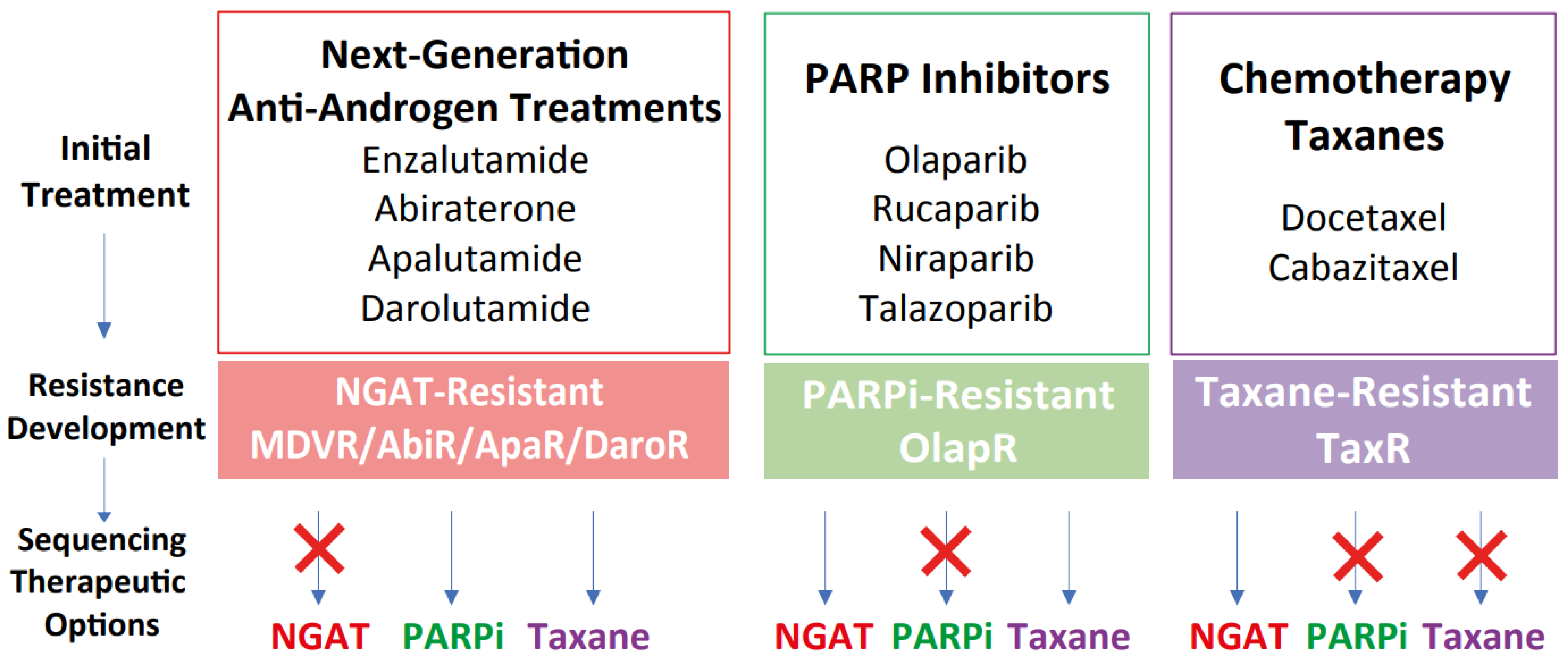 Cancers 15 05273 g006
