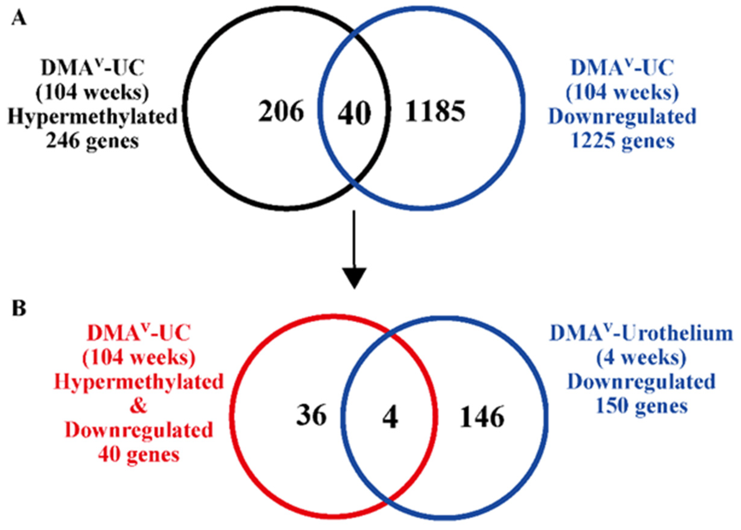 Cancers 15 05274 g001