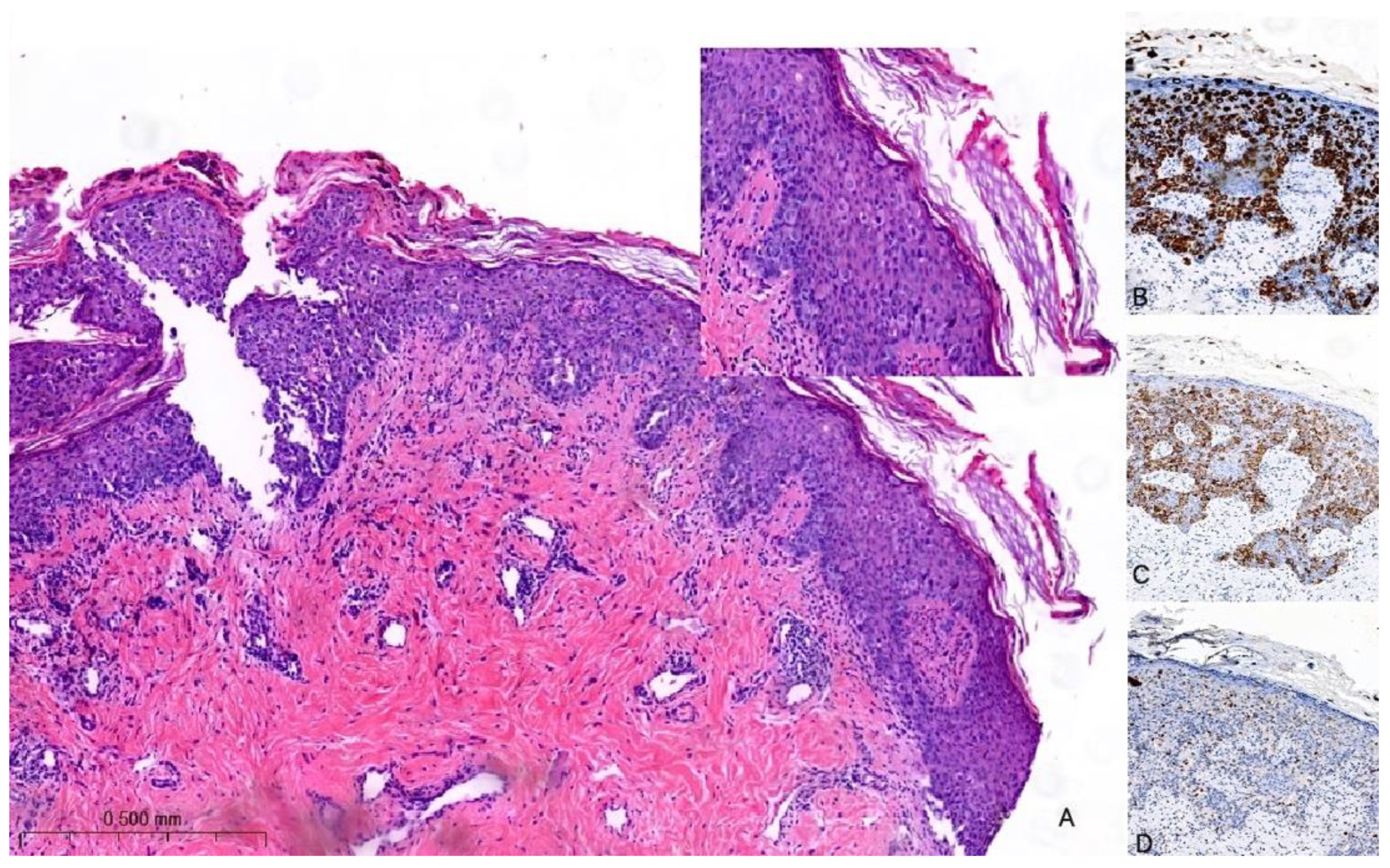 Cancers 15 05276 g002