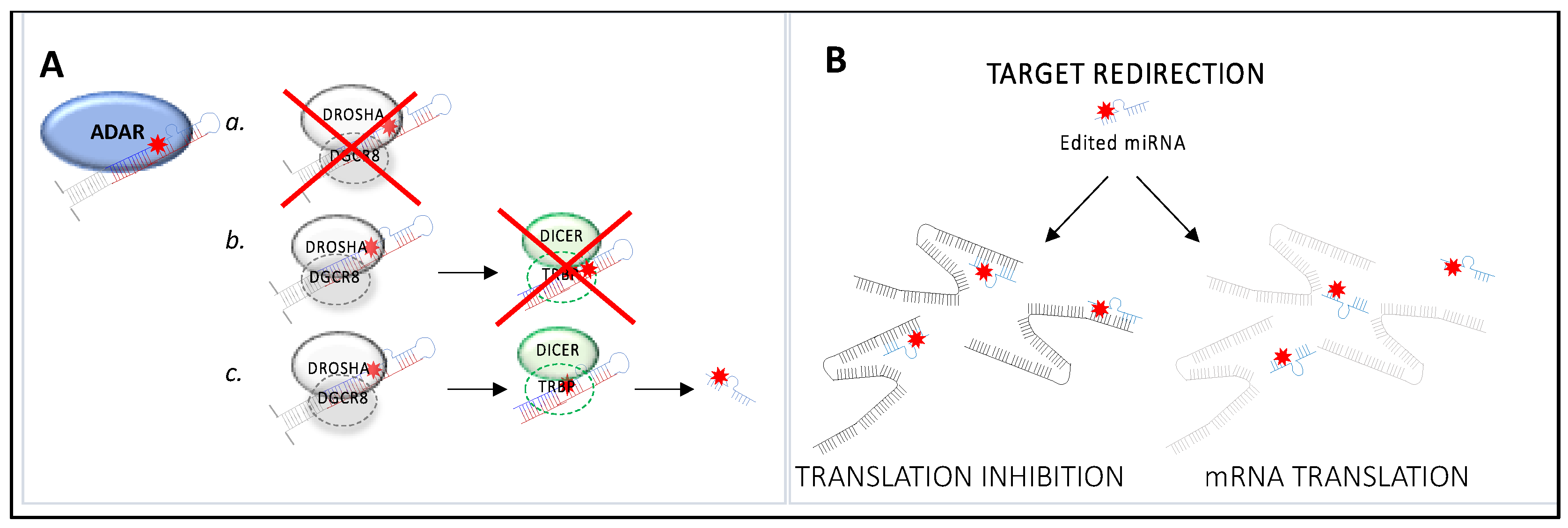 Cancers 15 05277 g003